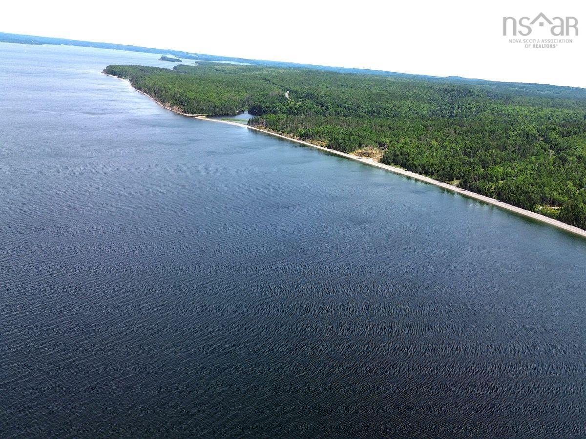 $52,000.00: Nature Dream Boulevard, Roberta