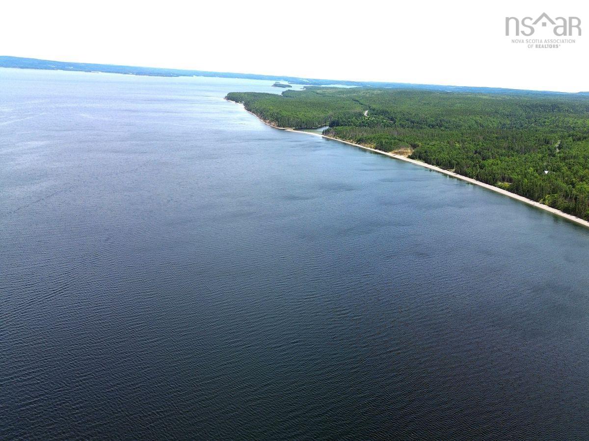 $52,000.00: Nature Dream Boulevard, Roberta