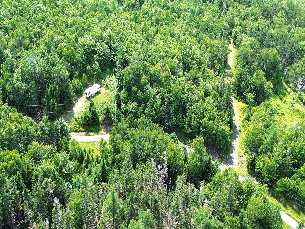 $52,000.00: Nature Dream Boulevard, Roberta