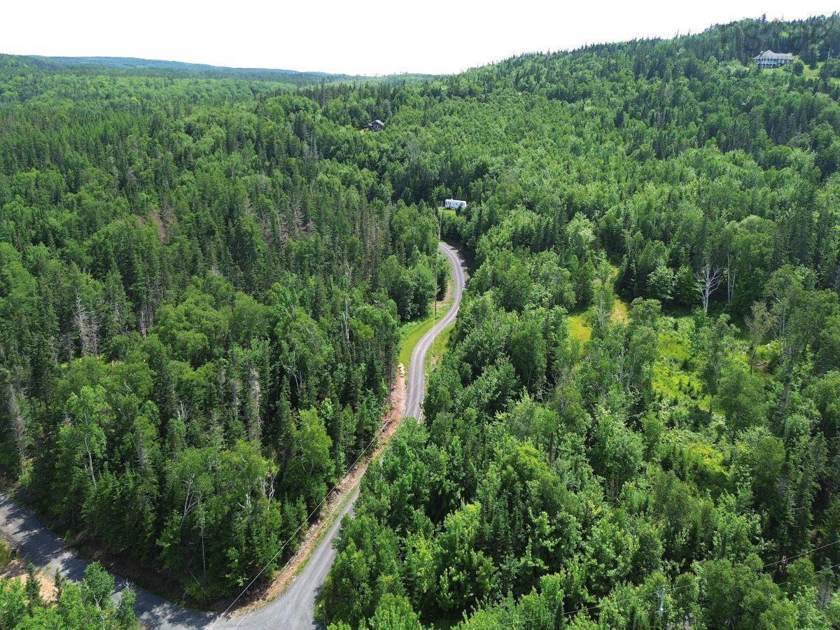 $52,000.00: Nature Dream Boulevard, Roberta