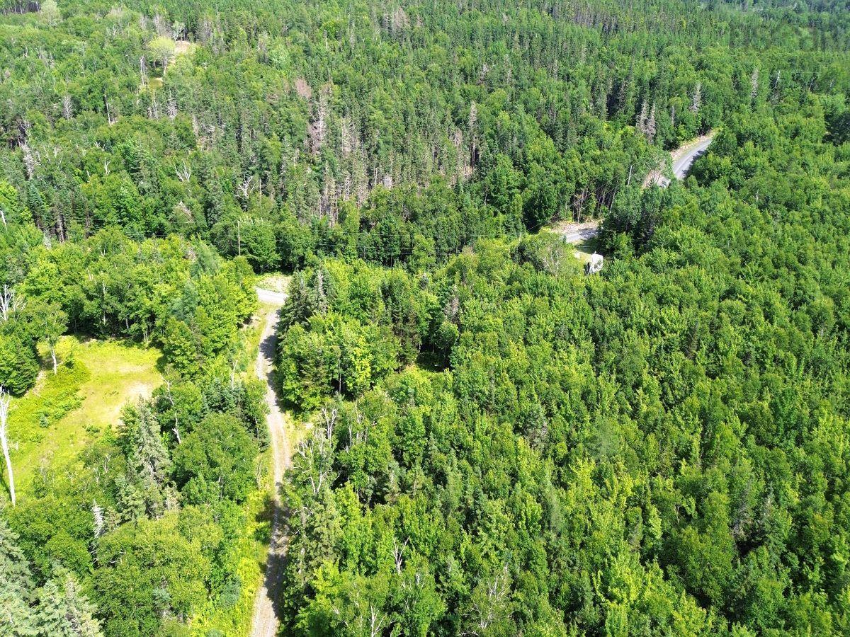 $52,000.00: Nature Dream Boulevard, Roberta