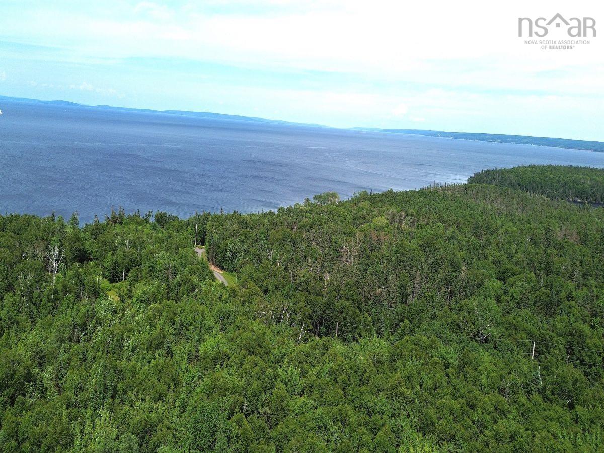 $52,000.00: Nature Dream Boulevard, Roberta