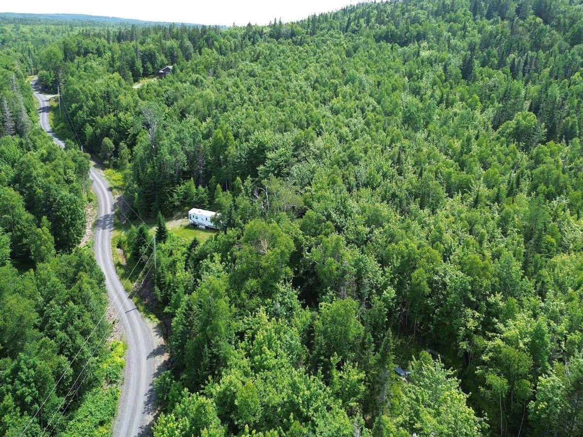$52,000.00: Nature Dream Boulevard, Roberta