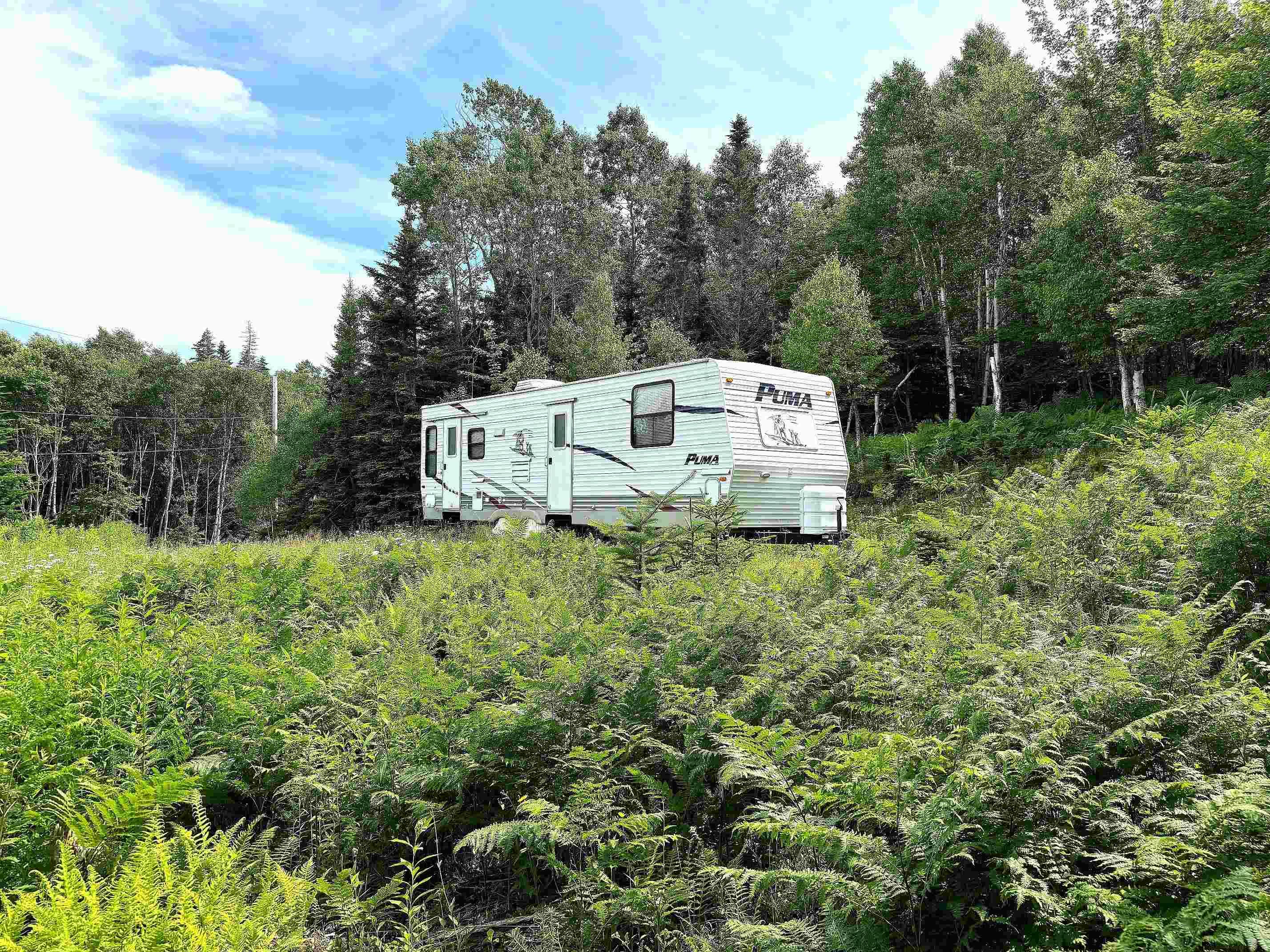 $52,000.00: Nature Dream Boulevard, Roberta