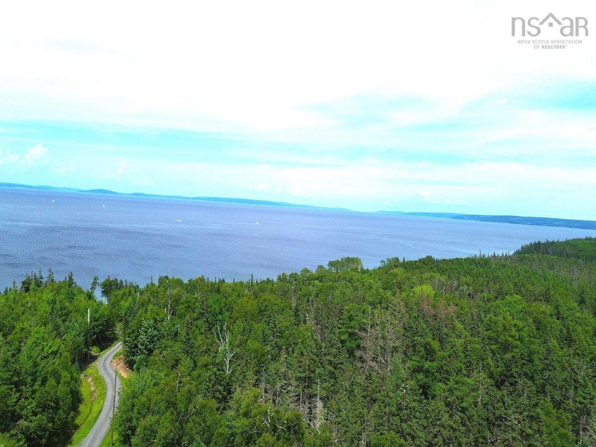 $52,000.00: Nature Dream Boulevard, Roberta