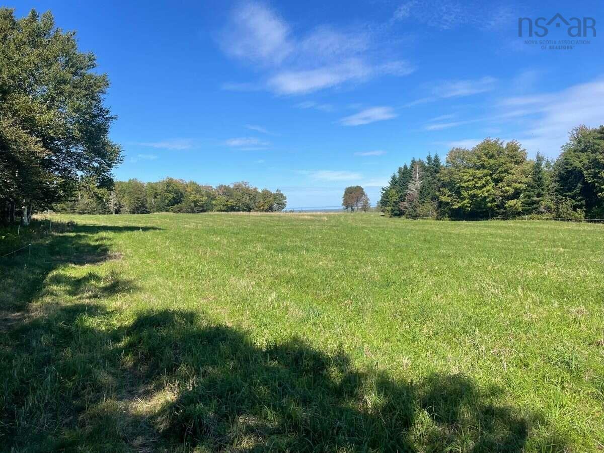 $599,999.00: 519 J W Mucculloch Road, Meiklefield