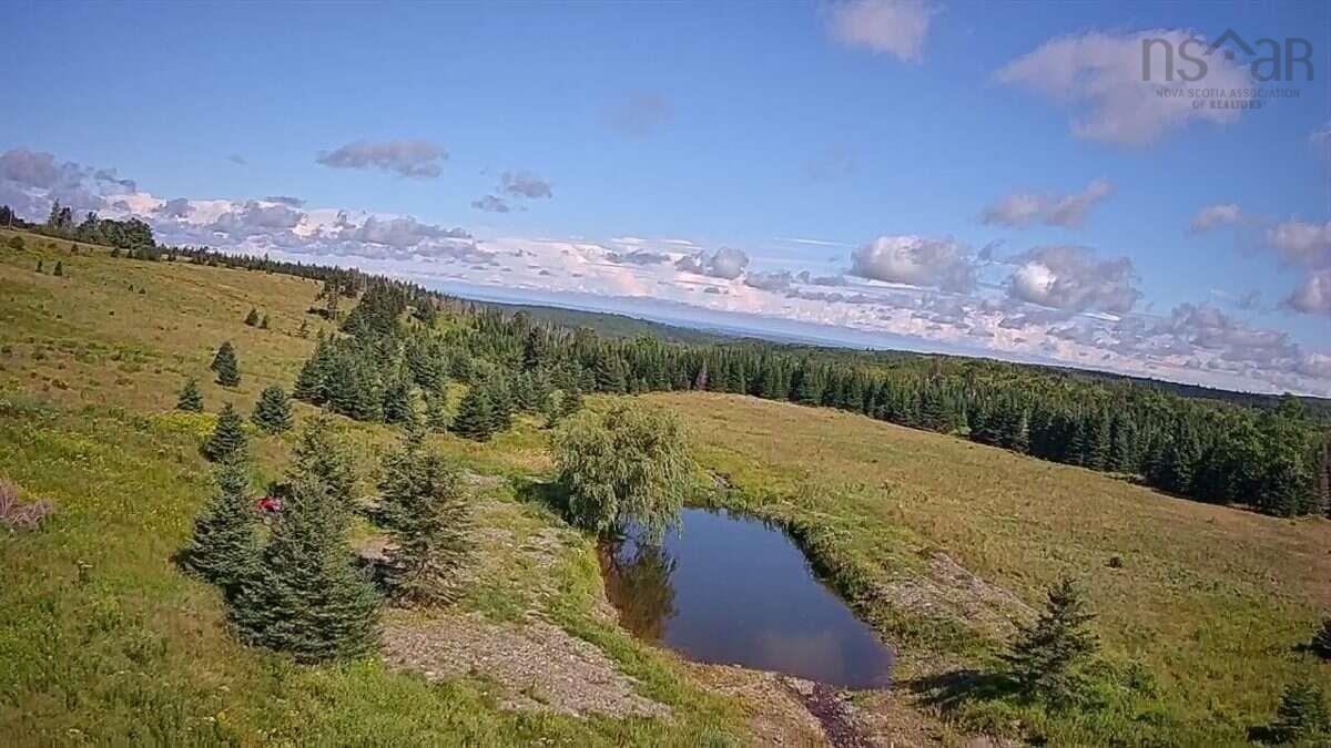 $599,999.00: 519 J W Mucculloch Road, Meiklefield
