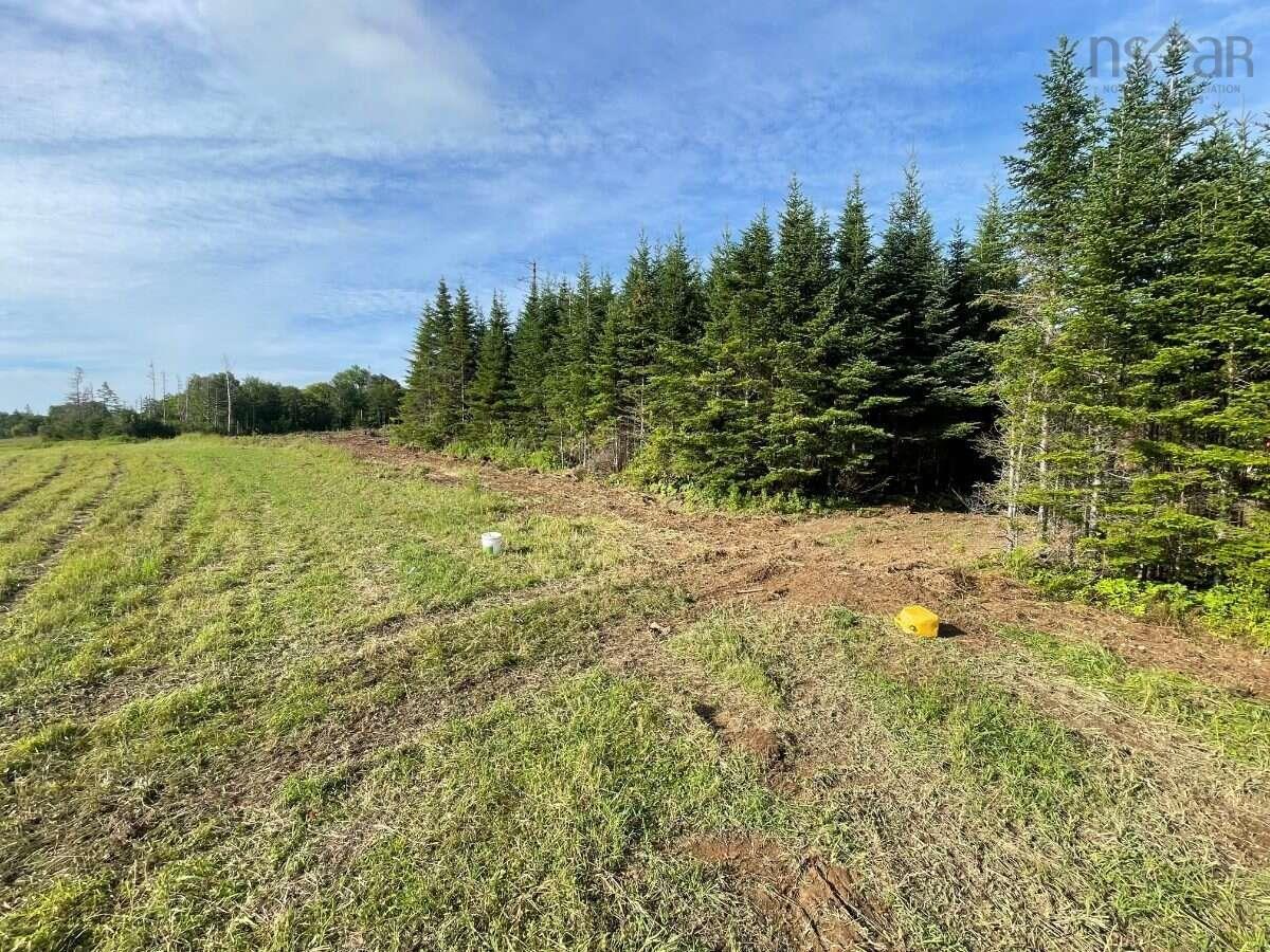 $599,999.00: 519 J W Mucculloch Road, Meiklefield