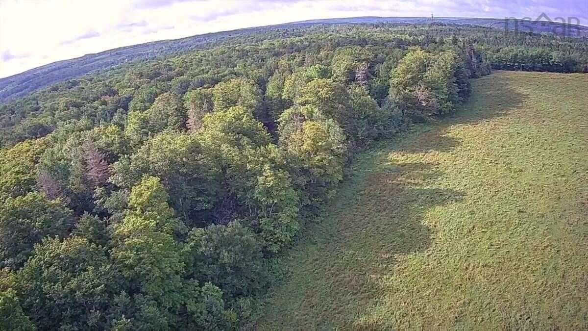 $599,999.00: 519 J W Mucculloch Road, Meiklefield