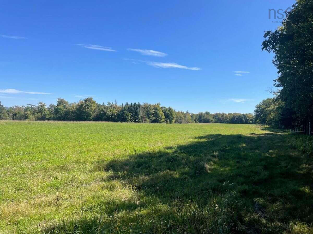 $599,999.00: 519 J W Mucculloch Road, Meiklefield