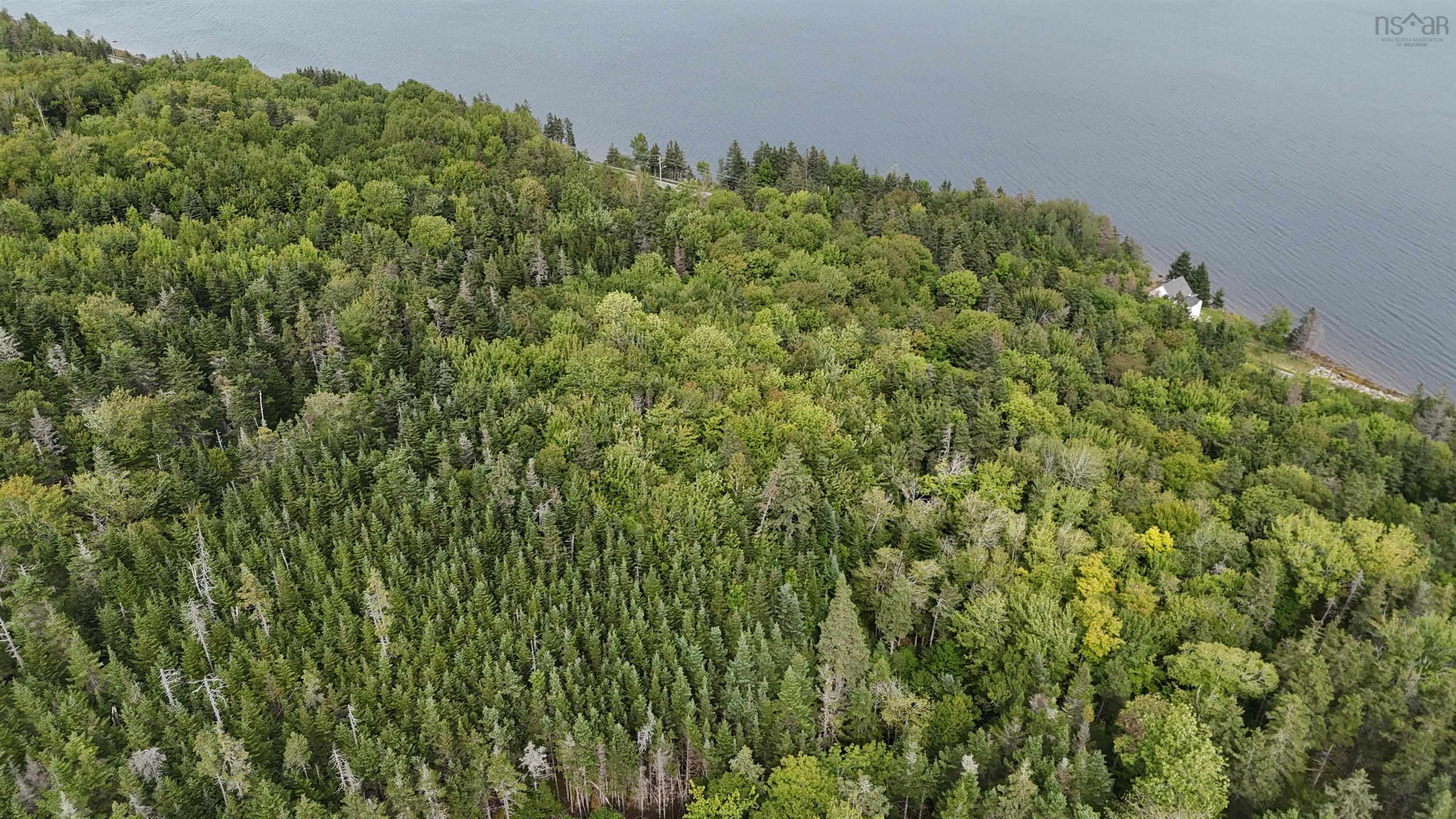 $89,000.00: Lot 3 Marine Dr., Steep Creek