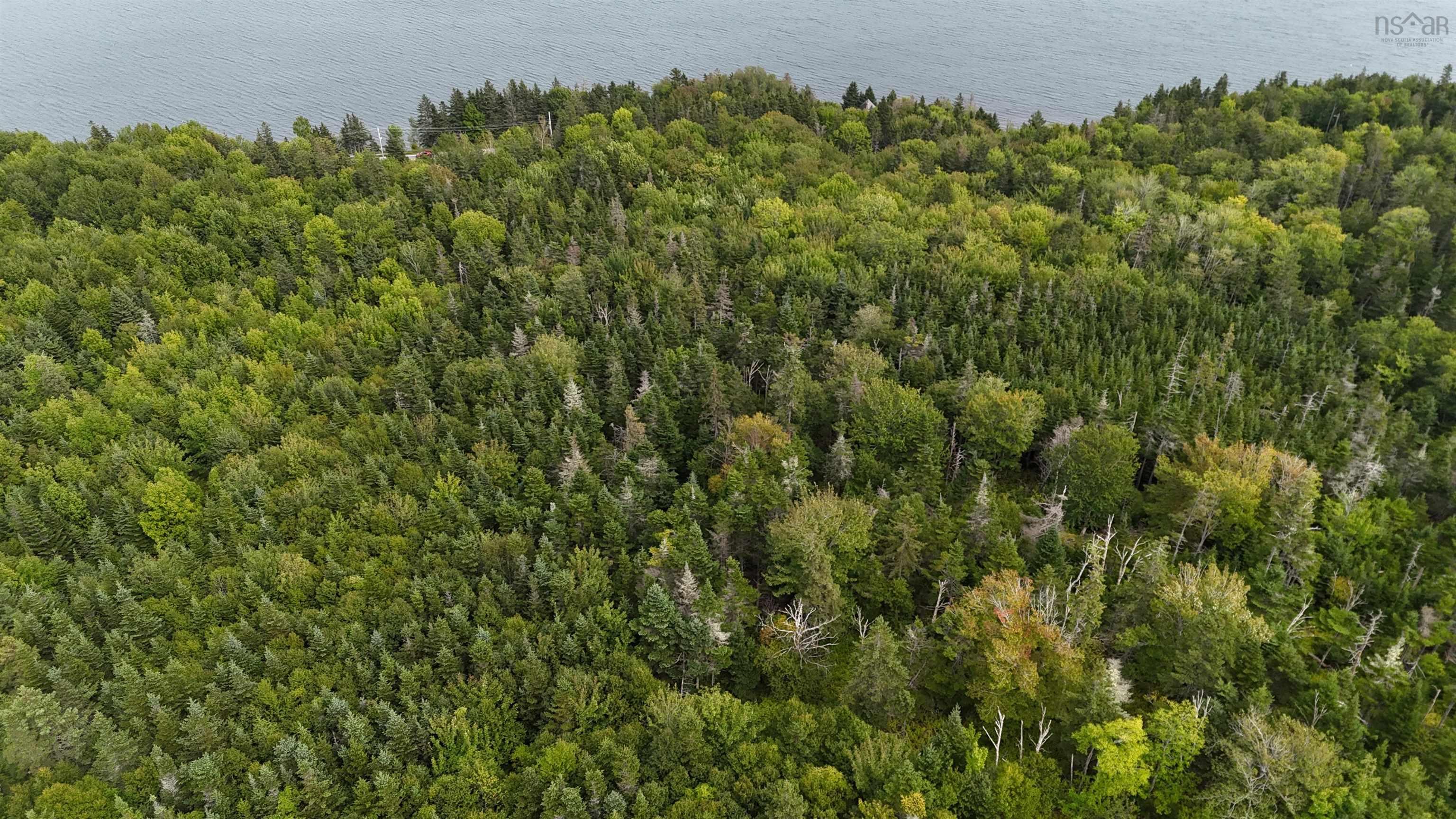 $89,000.00: Lot 3 Marine Dr., Steep Creek