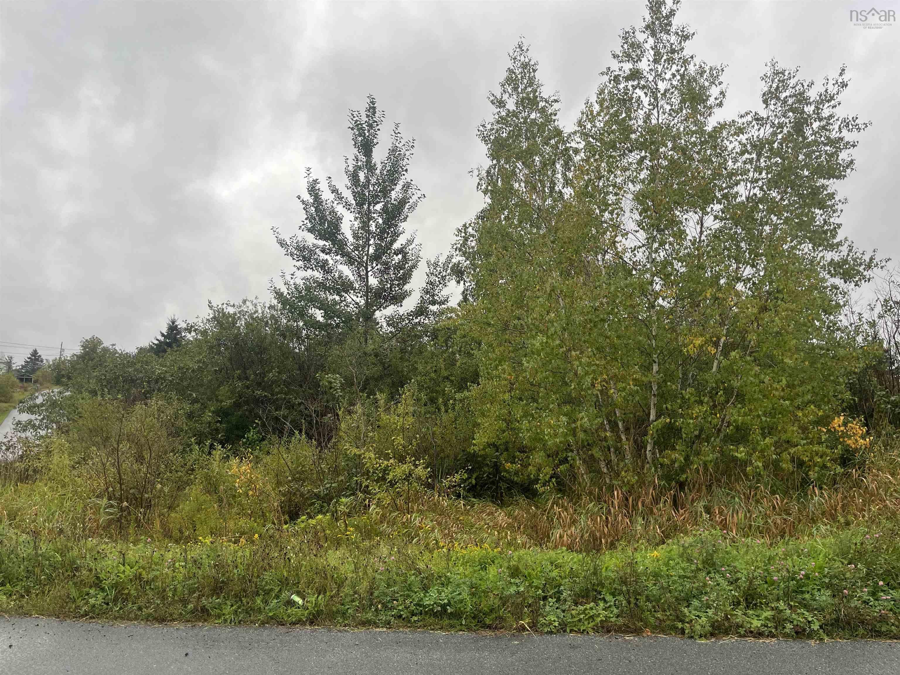 $19,900.00: Lot FC Back Gate Road, Dutch Settlement
