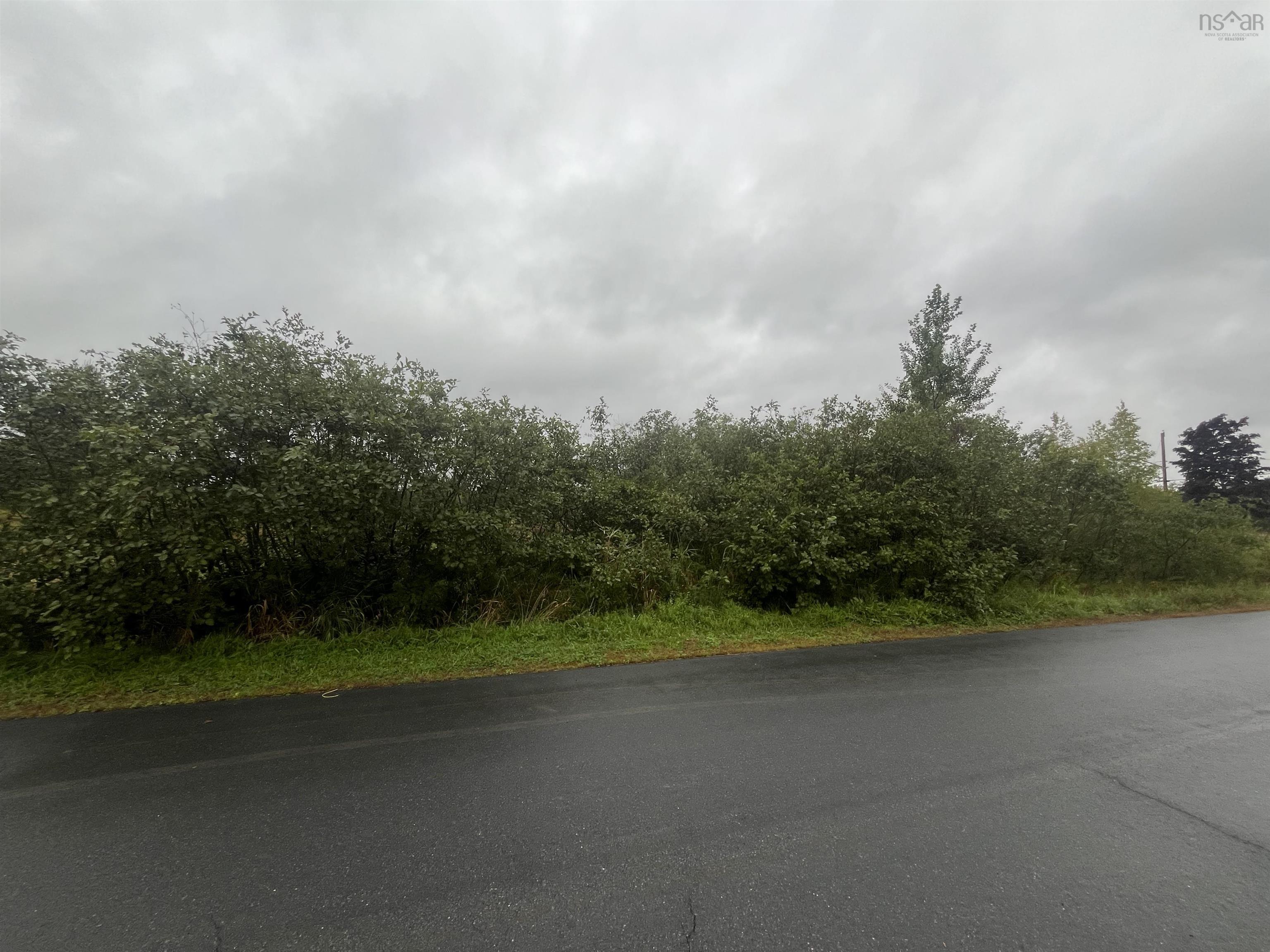 $19,900.00: Lot FC Back Gate Road, Dutch Settlement