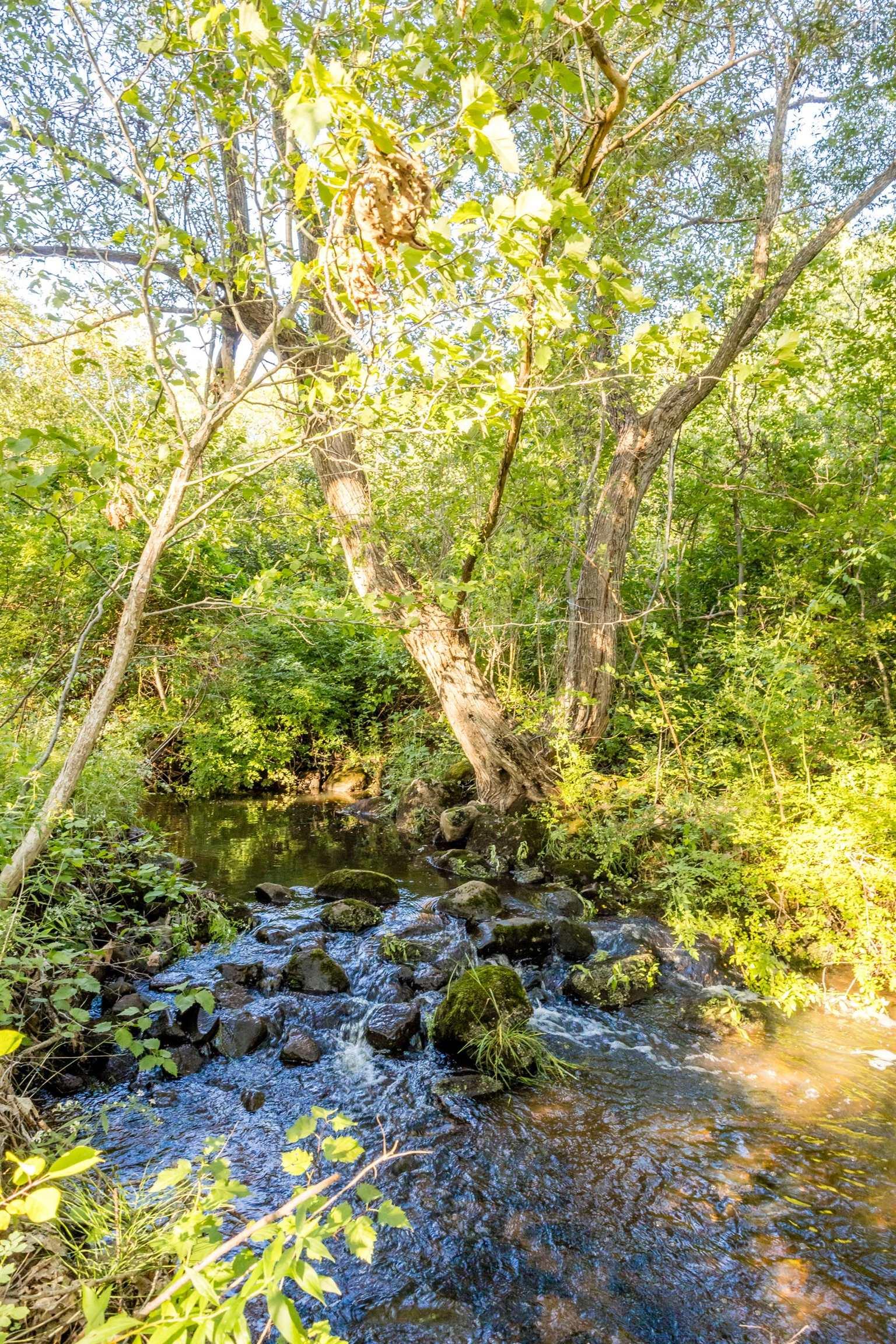 $198,500.00: 8113 Highway 1, Upper Granville