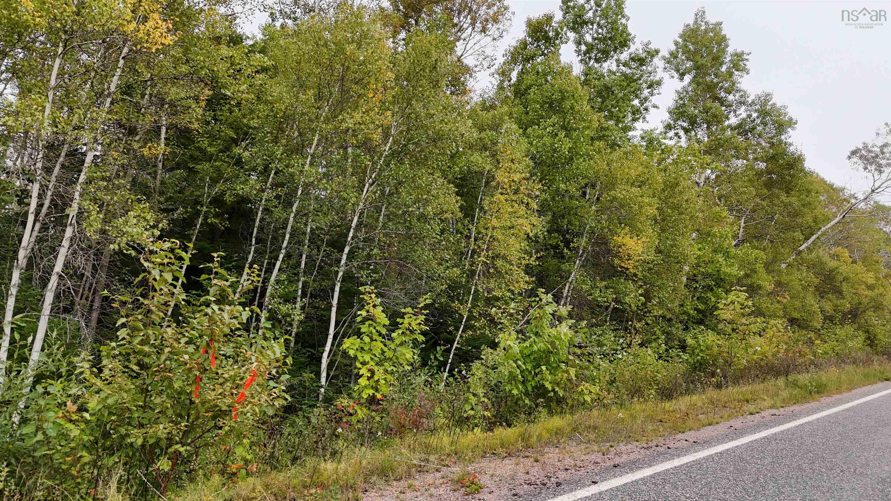 $42,500.00: Lot 9 BALMORAL Road, New Annan