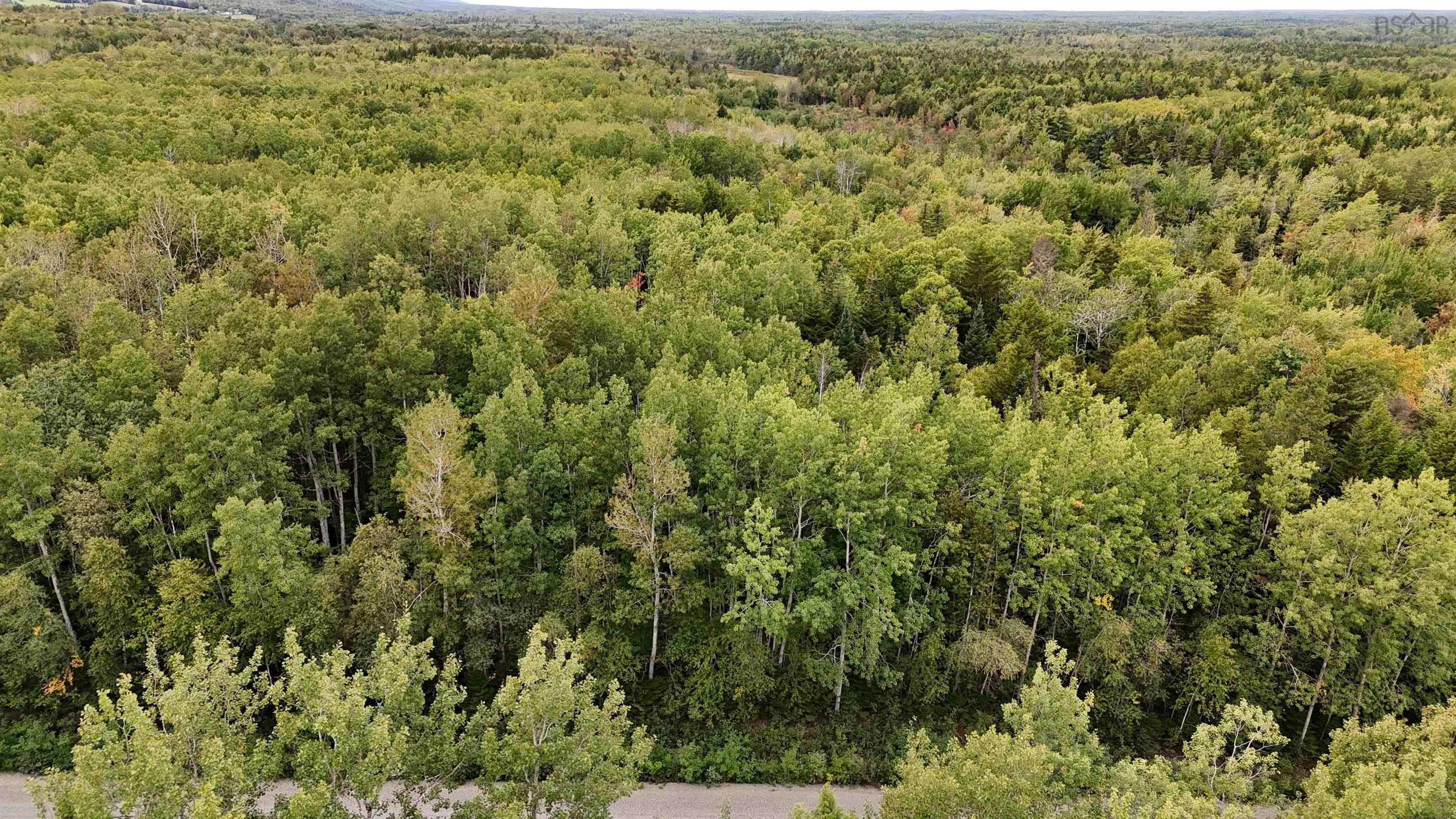 $32,500.00: Lot 11 TRURO Road, New Annan
