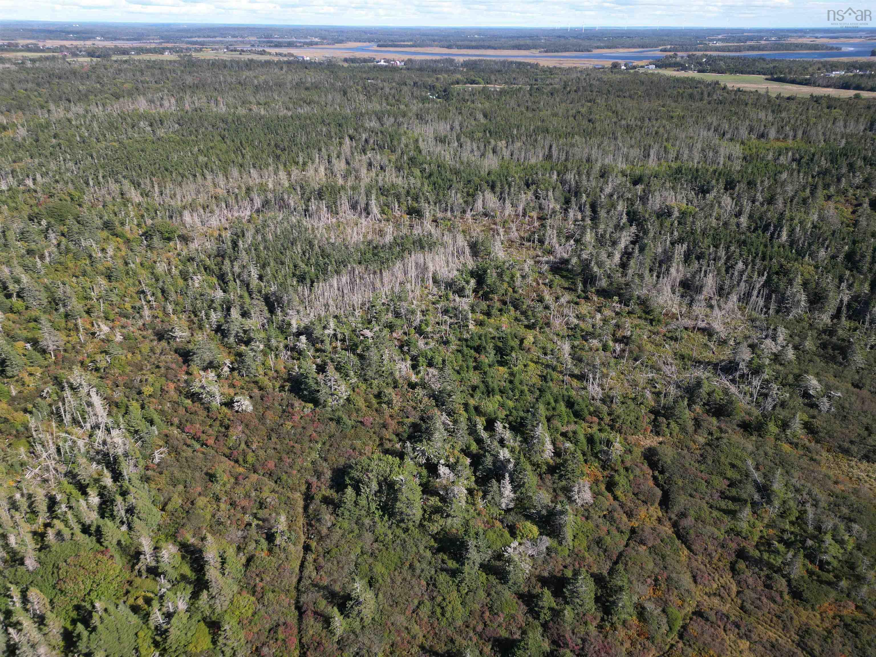 $60,000.00: vacant land Cleveland Road, Kelleys Cove
