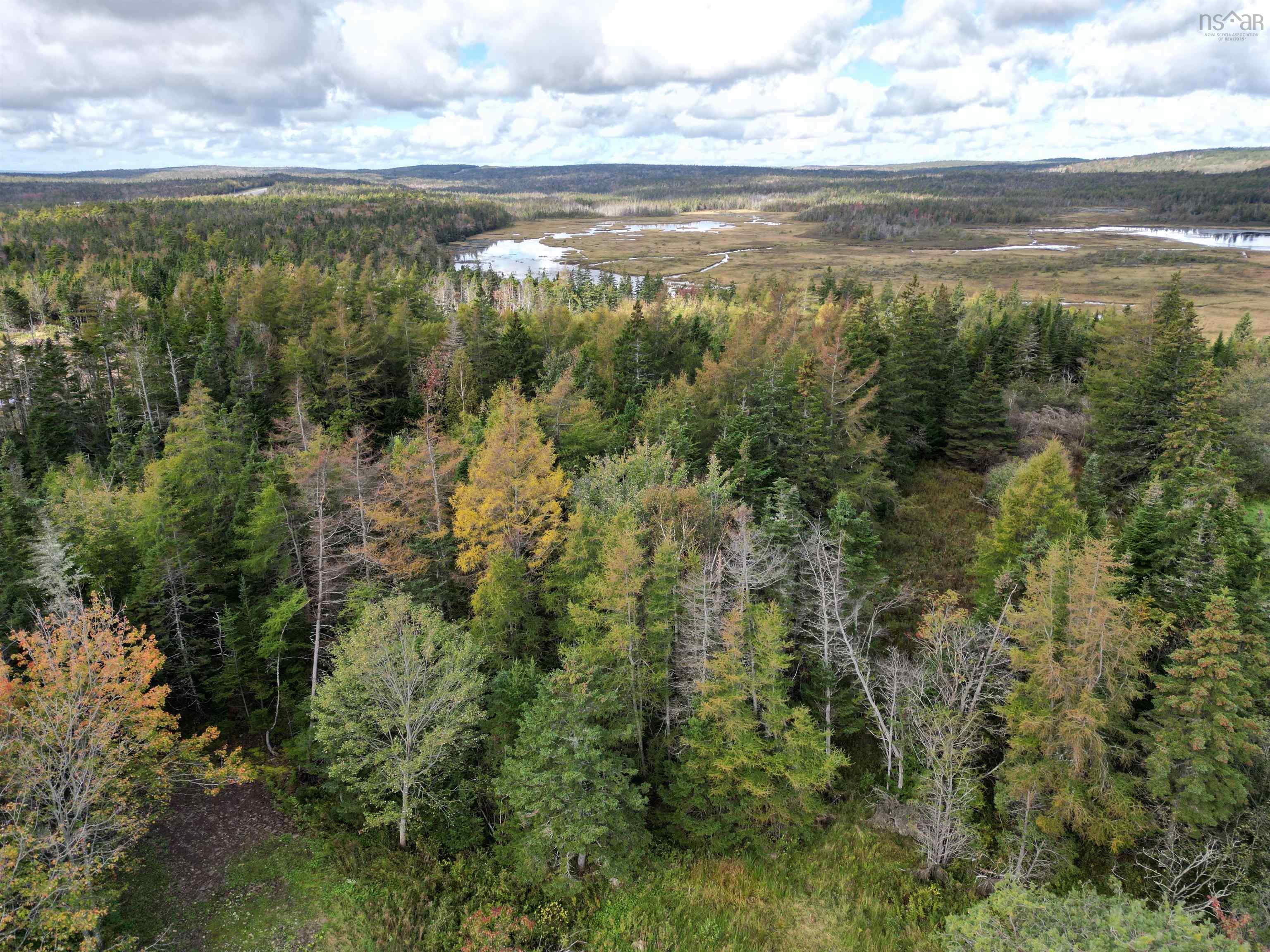 $45,900.00: Lot Highway 320, Louisdale