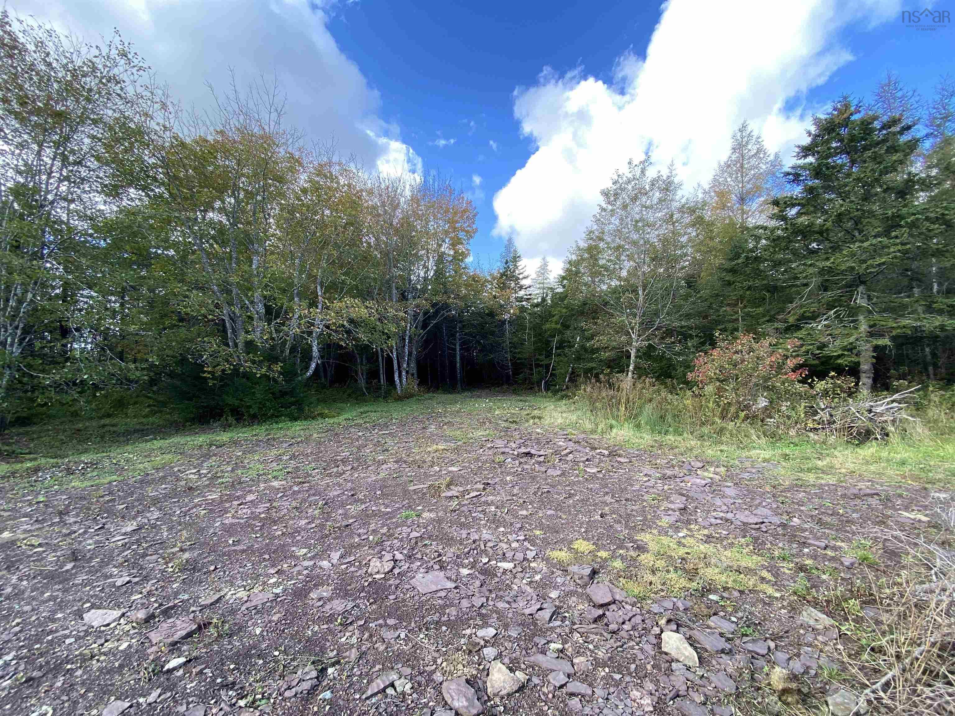 $45,900.00: Lot Highway 320, Louisdale