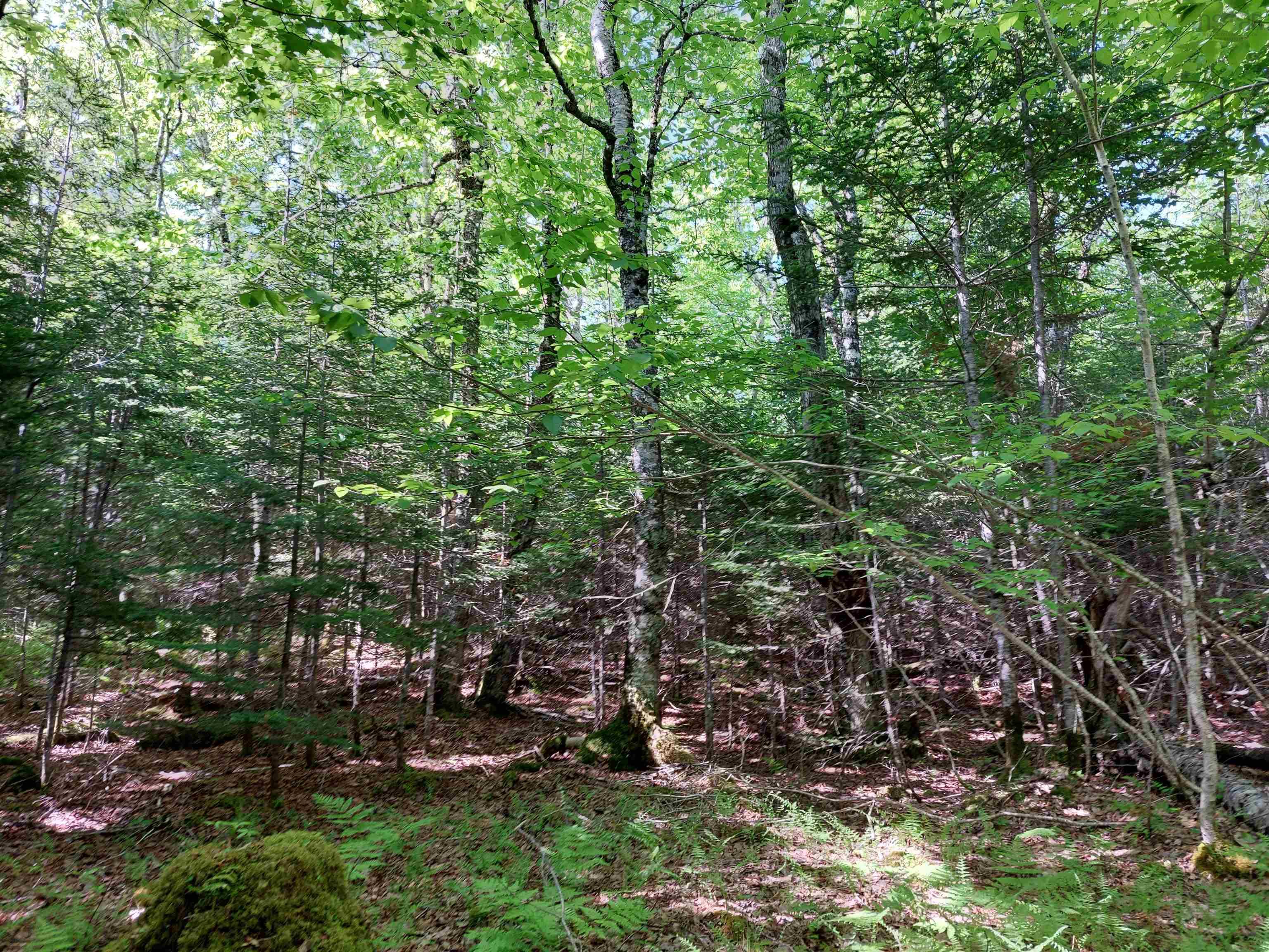 $49,000.00: Lot 8 Evanston Rd, Evanston
