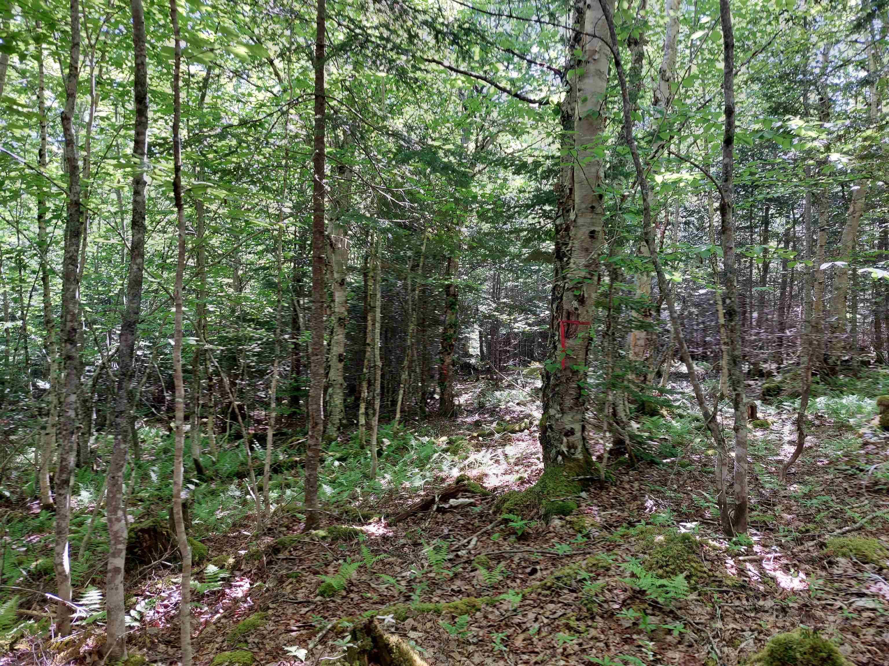 $49,000.00: Lot 8 Evanston Rd, Evanston