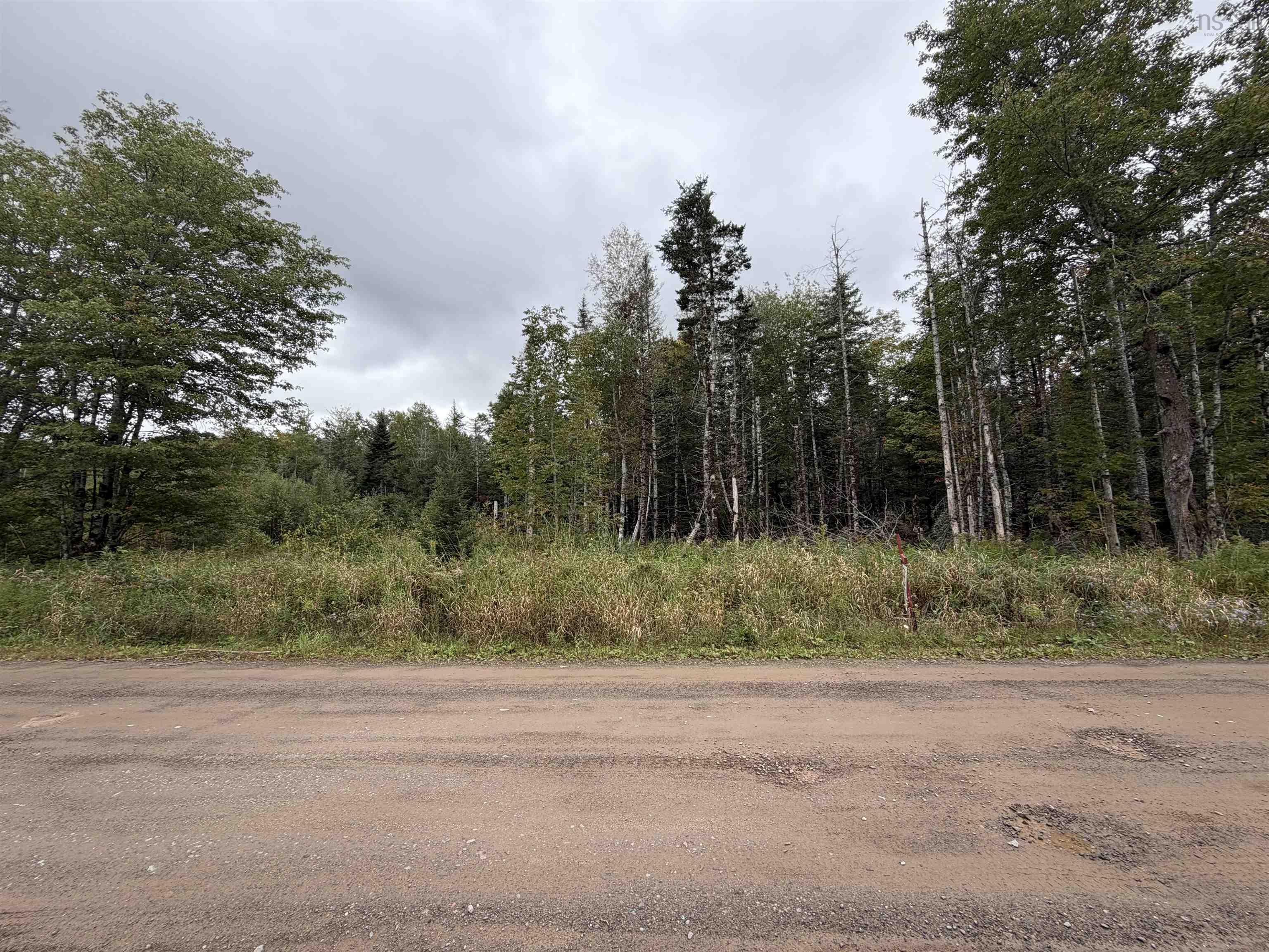 Sibley Road, Glenmore, NS (MLS® 202624230)