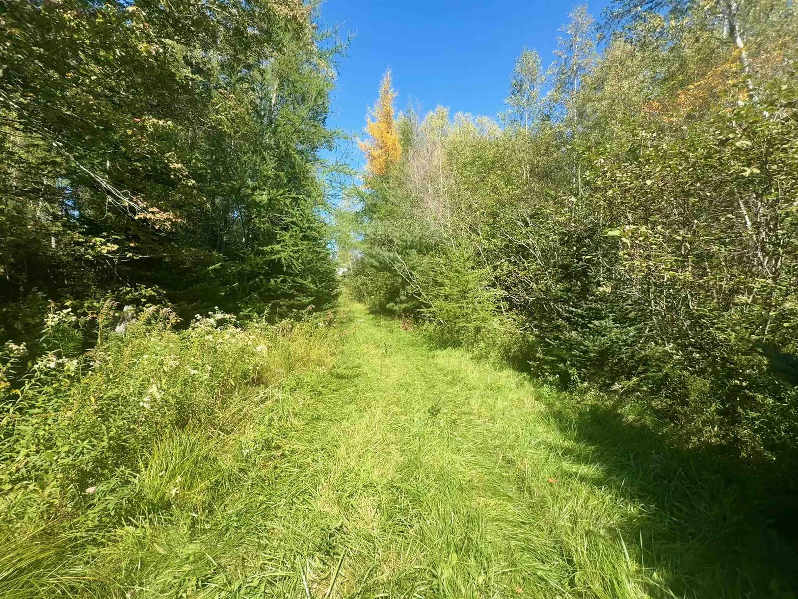 $64,900.00: Lot 5-E D Ramsey Road, West St Andrews