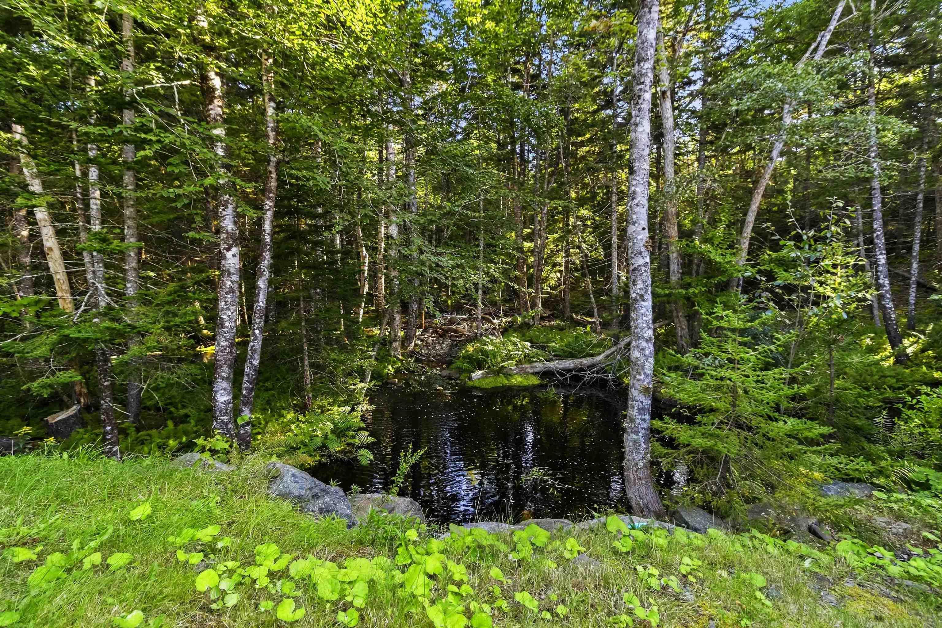 $1,990,000.00: 61 Colins Road, Hammonds Plains