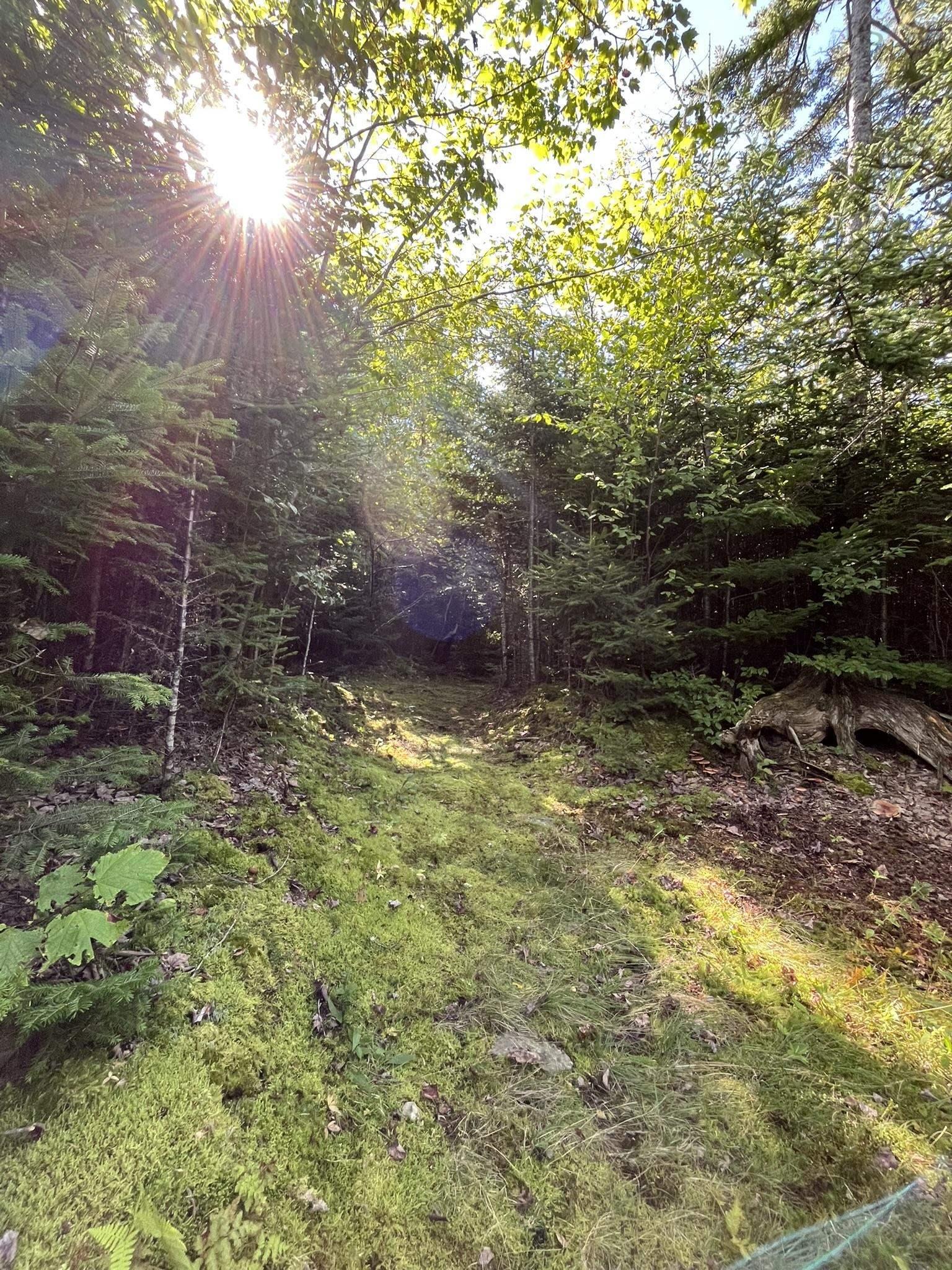 $574,900.00: 586 WEST PORTERS LAKE Road, Porters Lake