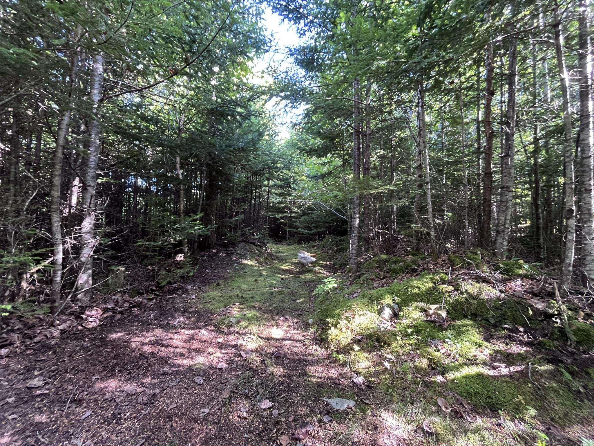 $574,900.00: 586 WEST PORTERS LAKE Road, Porters Lake