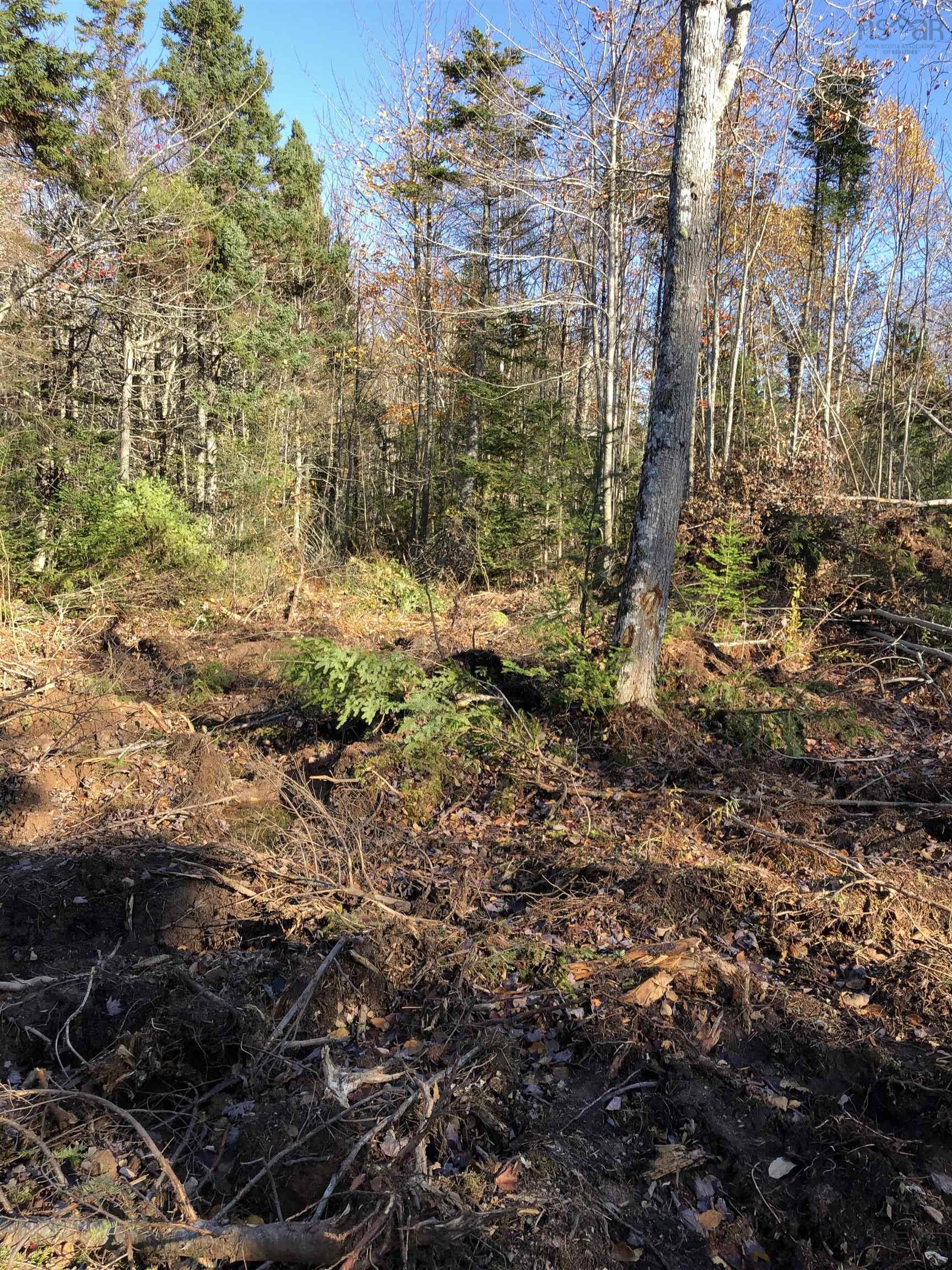 $144,900.00: lot 07-1 Highway 223, Big Beach