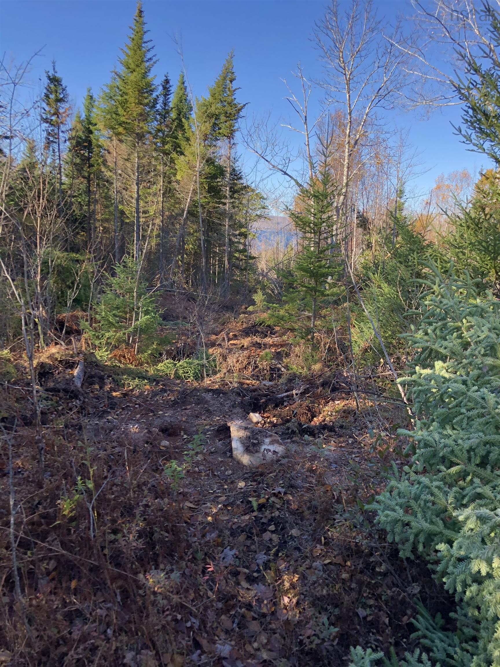 $144,900.00: lot 07-1 Highway 223, Big Beach