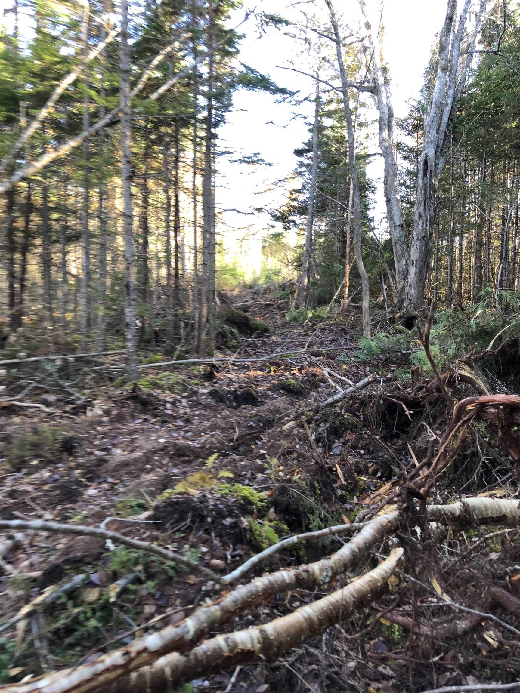 $144,900.00: lot 07-1 Highway 223, Big Beach
