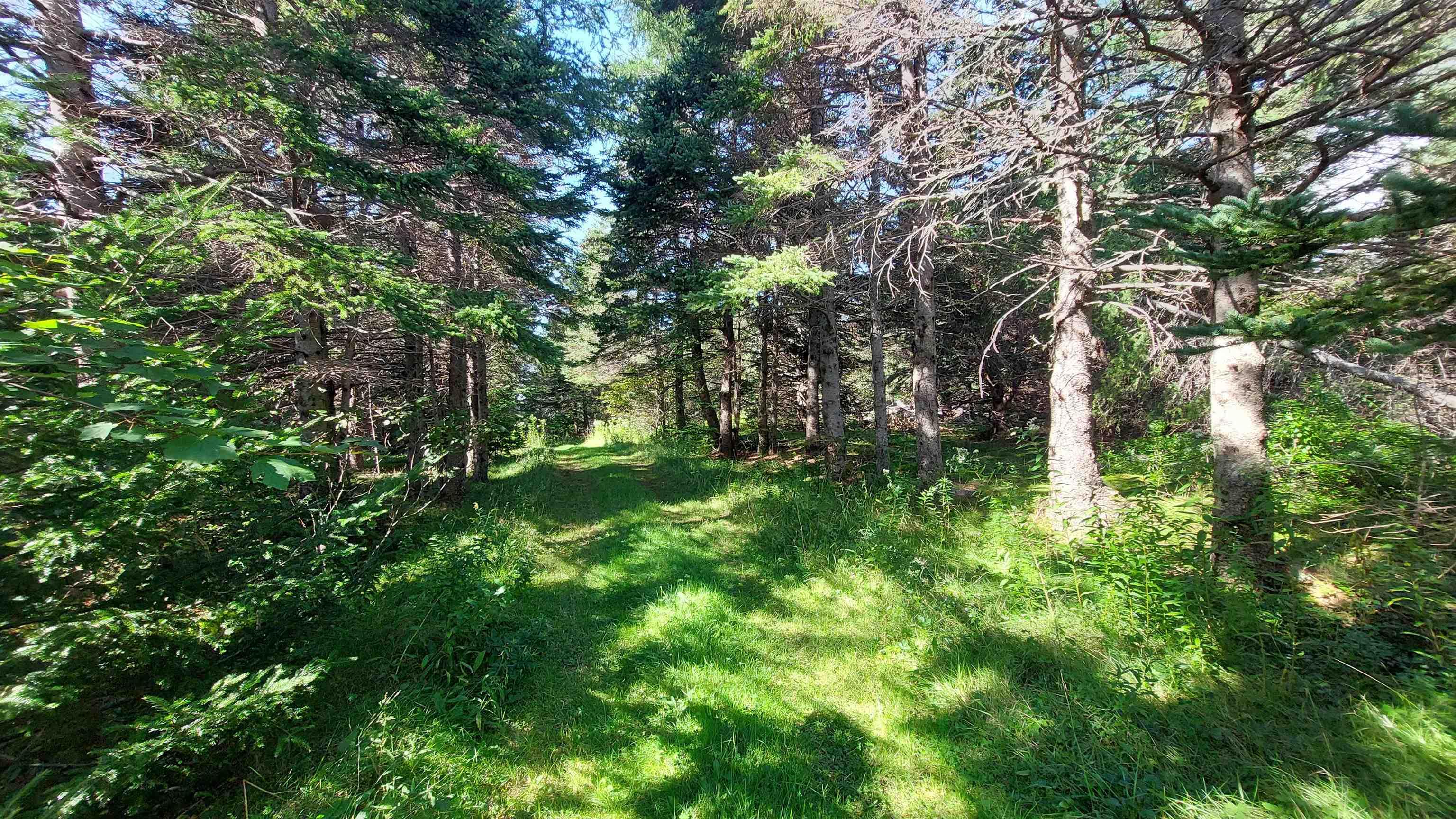 $99,000.00: Michael Vogt Dr, Hay Cove