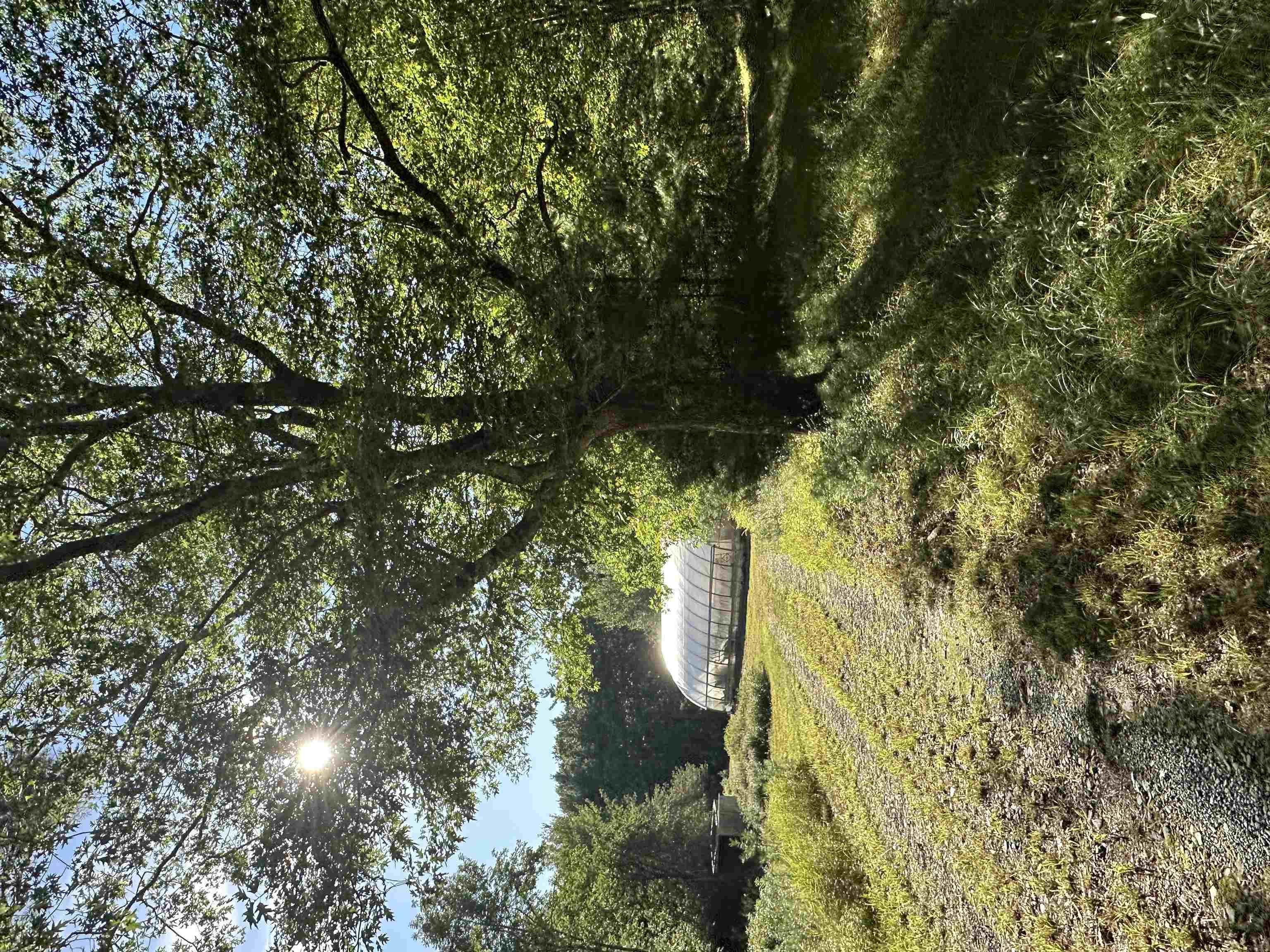 $299,900.00: 455 Mill Village East Road, Charleston