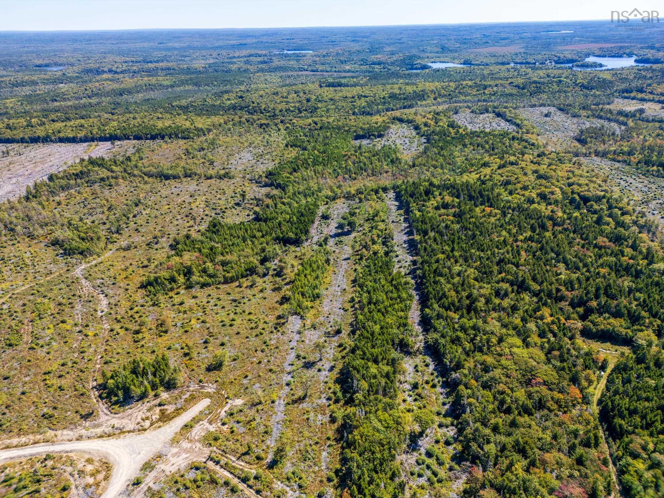 $18,000.00: Lot Highway 101, St. Alphonse