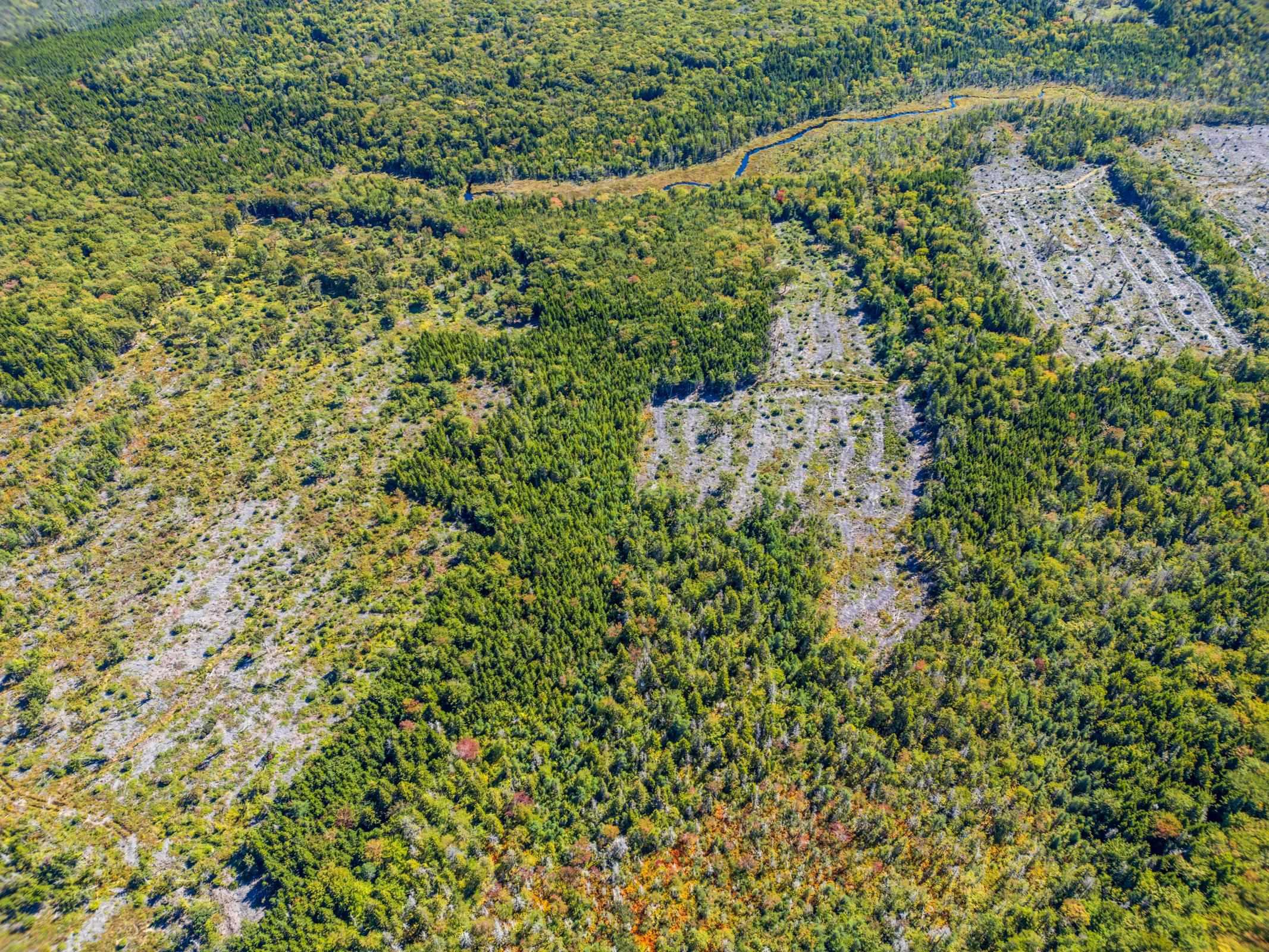 $18,000.00: Lot Highway 101, St. Alphonse