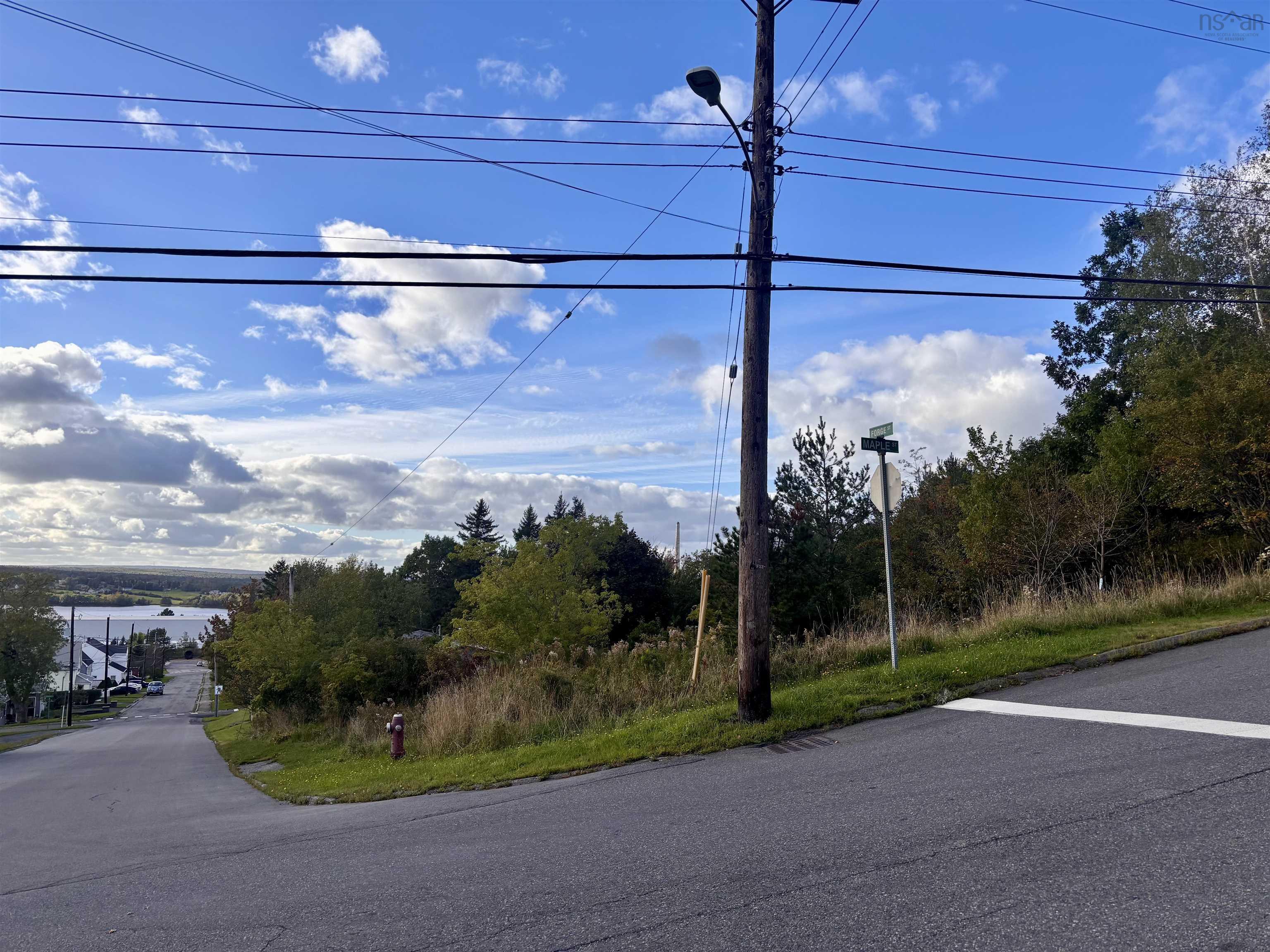 $30,000.00: Lot Forge Street, Trenton