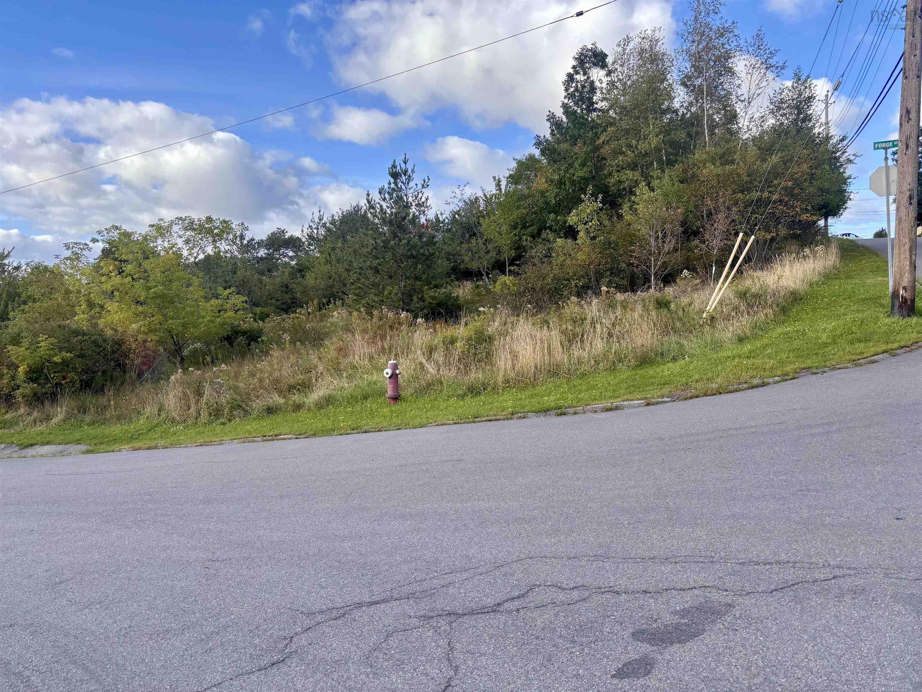 $30,000.00: Lot Forge Street, Trenton