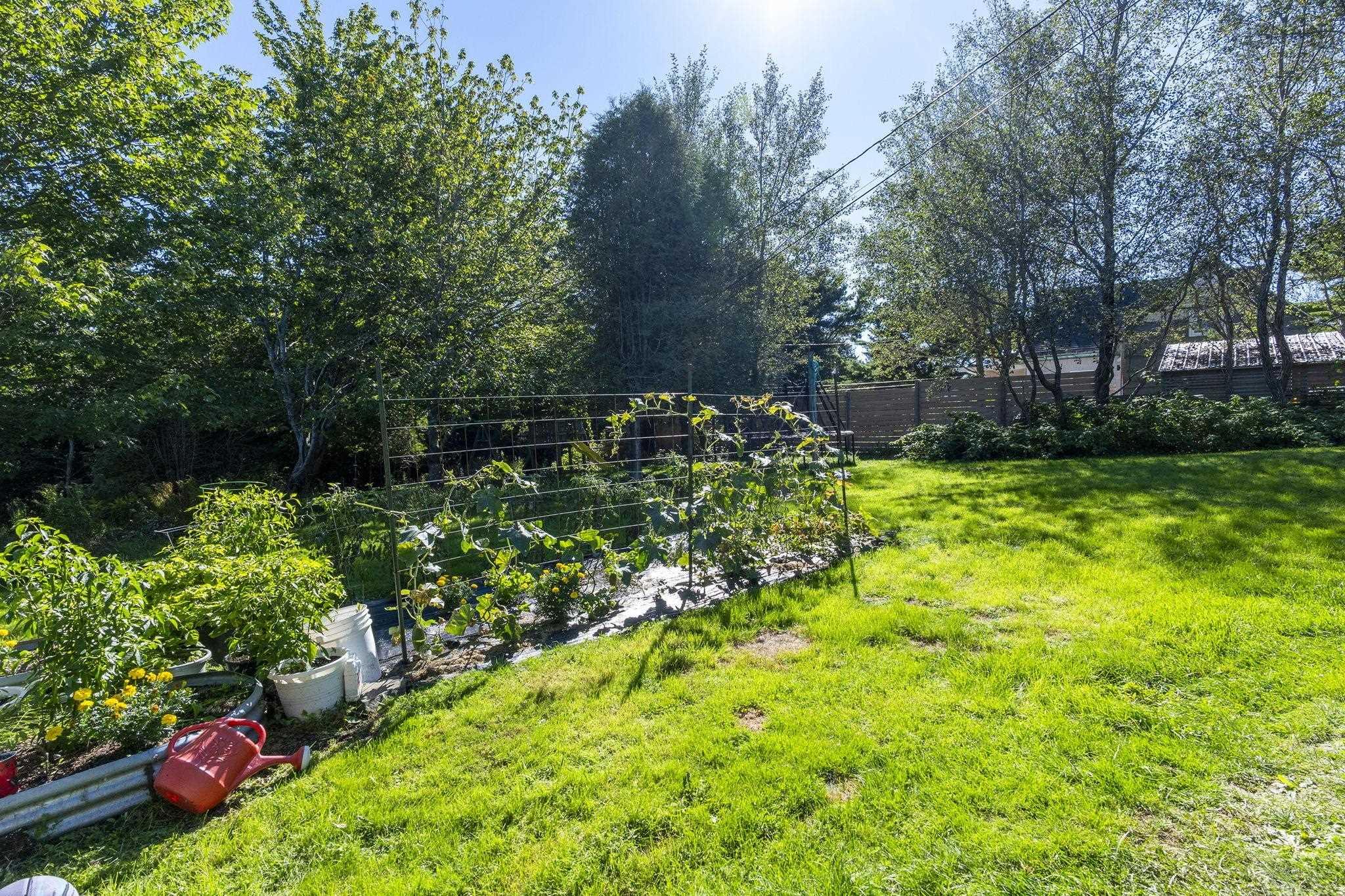 38 Post Road, Chezzetcook, NS (MLS 202624581)