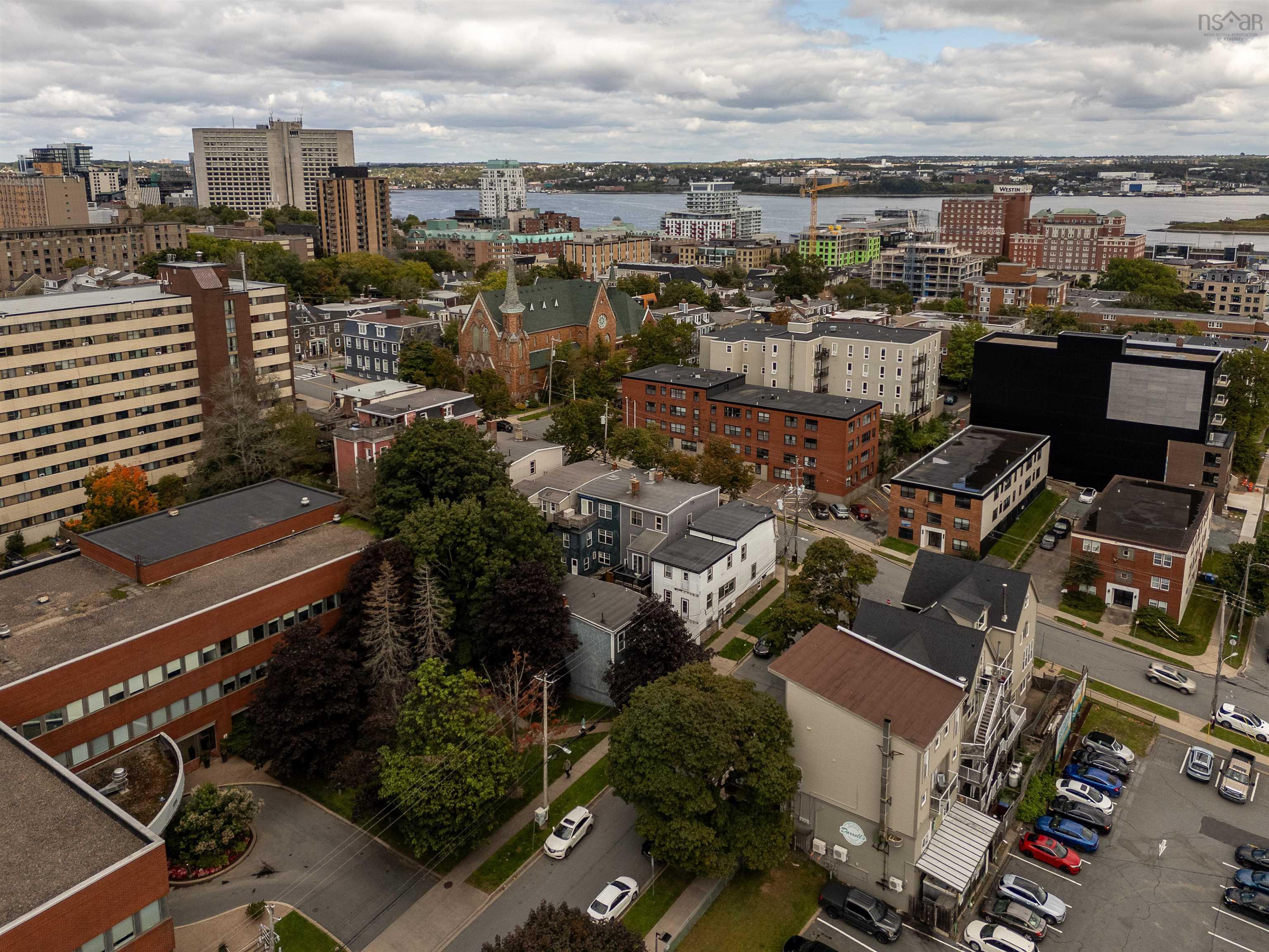 1154-1156 Queen Street photo #41