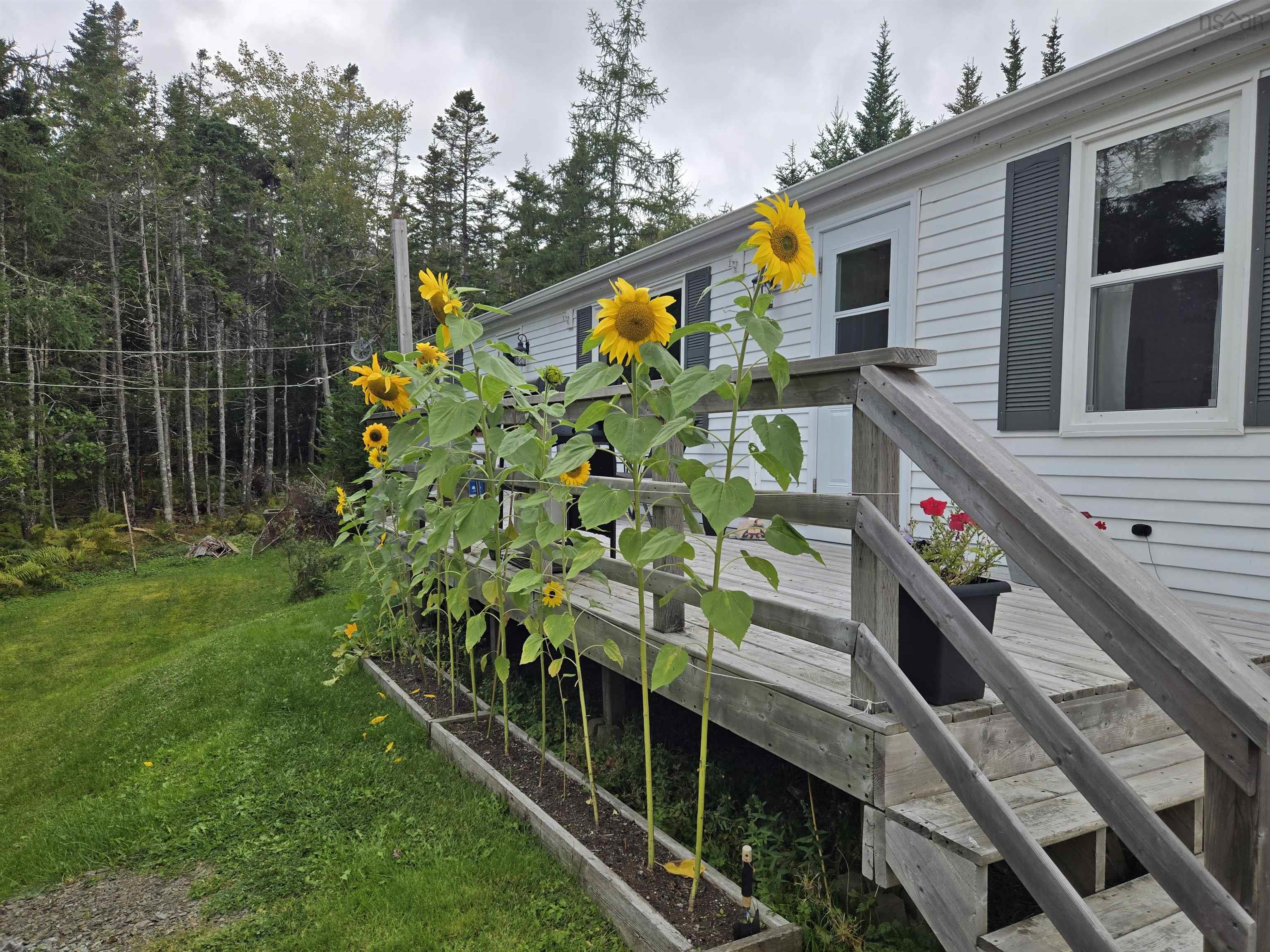 $174,500.00: 69 De Raymond Street, St. Peter's
