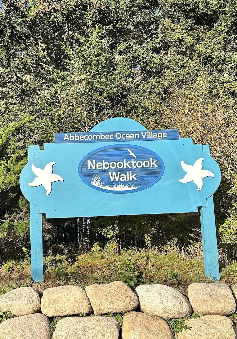 Lot 77 Nebooktook Walk, Clam Harbour, NS (MLS® 202624832)