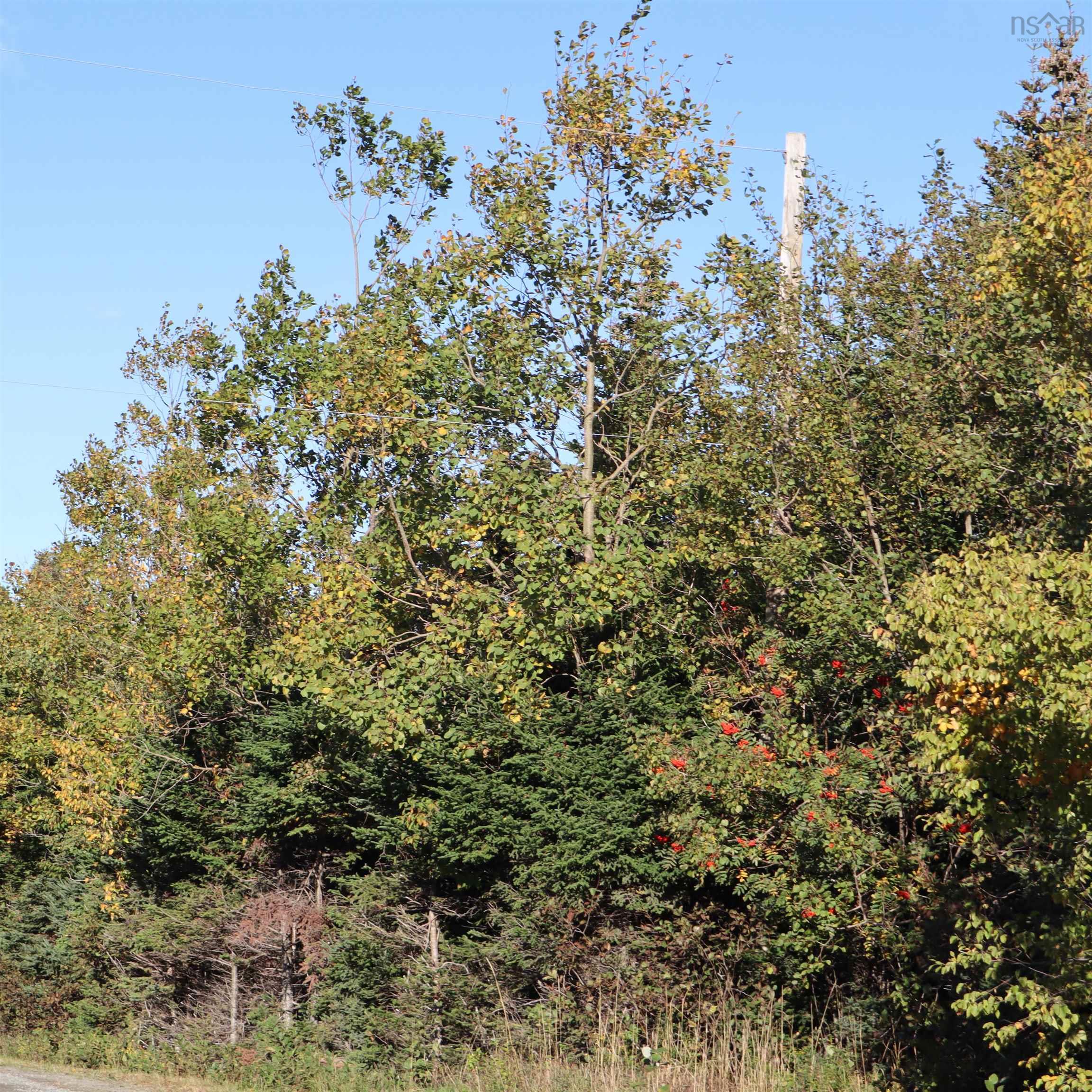 Lot 77 Nebooktook Walk, Clam Harbour, NS (MLS® 202624832)