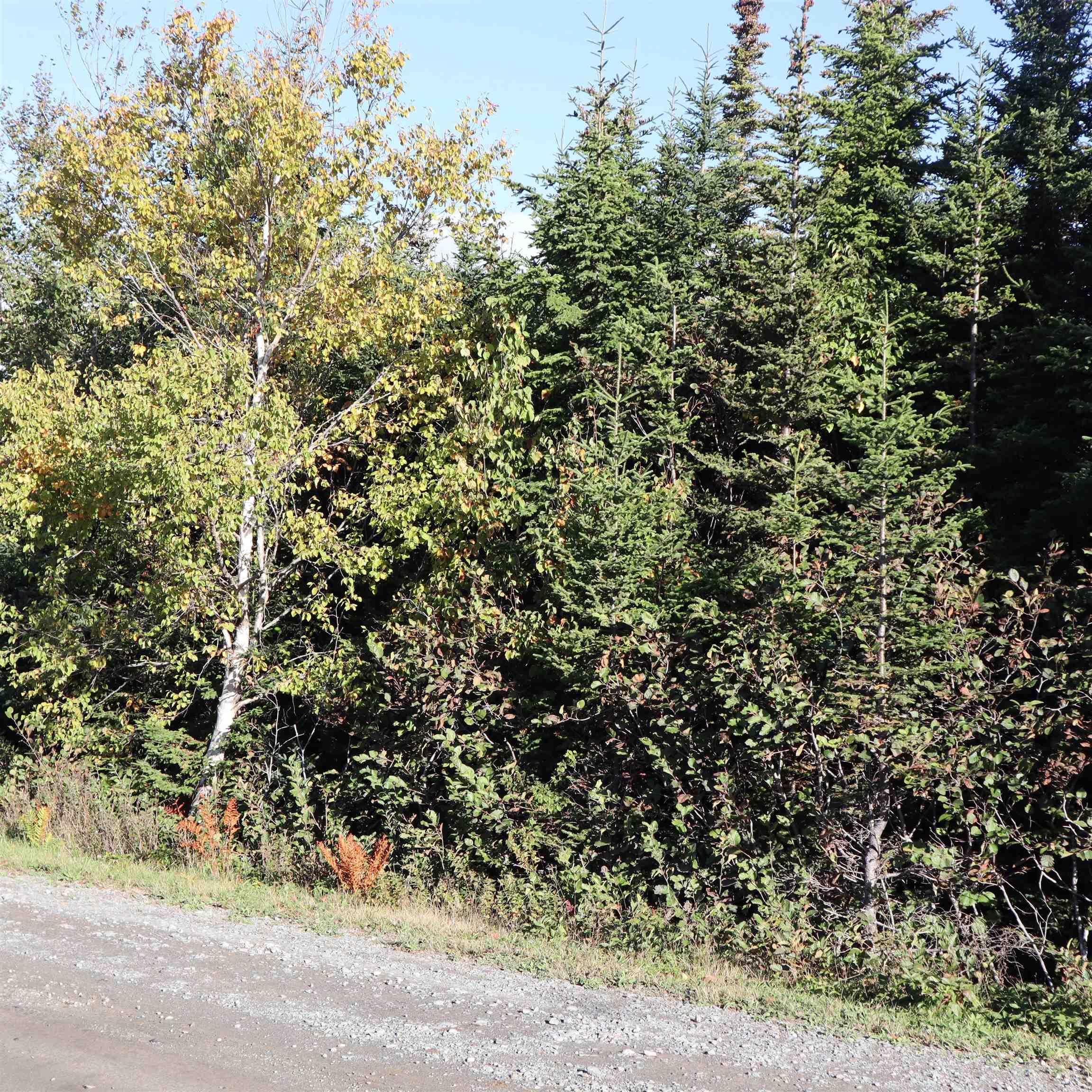 Lot 77 Nebooktook Walk, Clam Harbour, NS (MLS® 202624832)