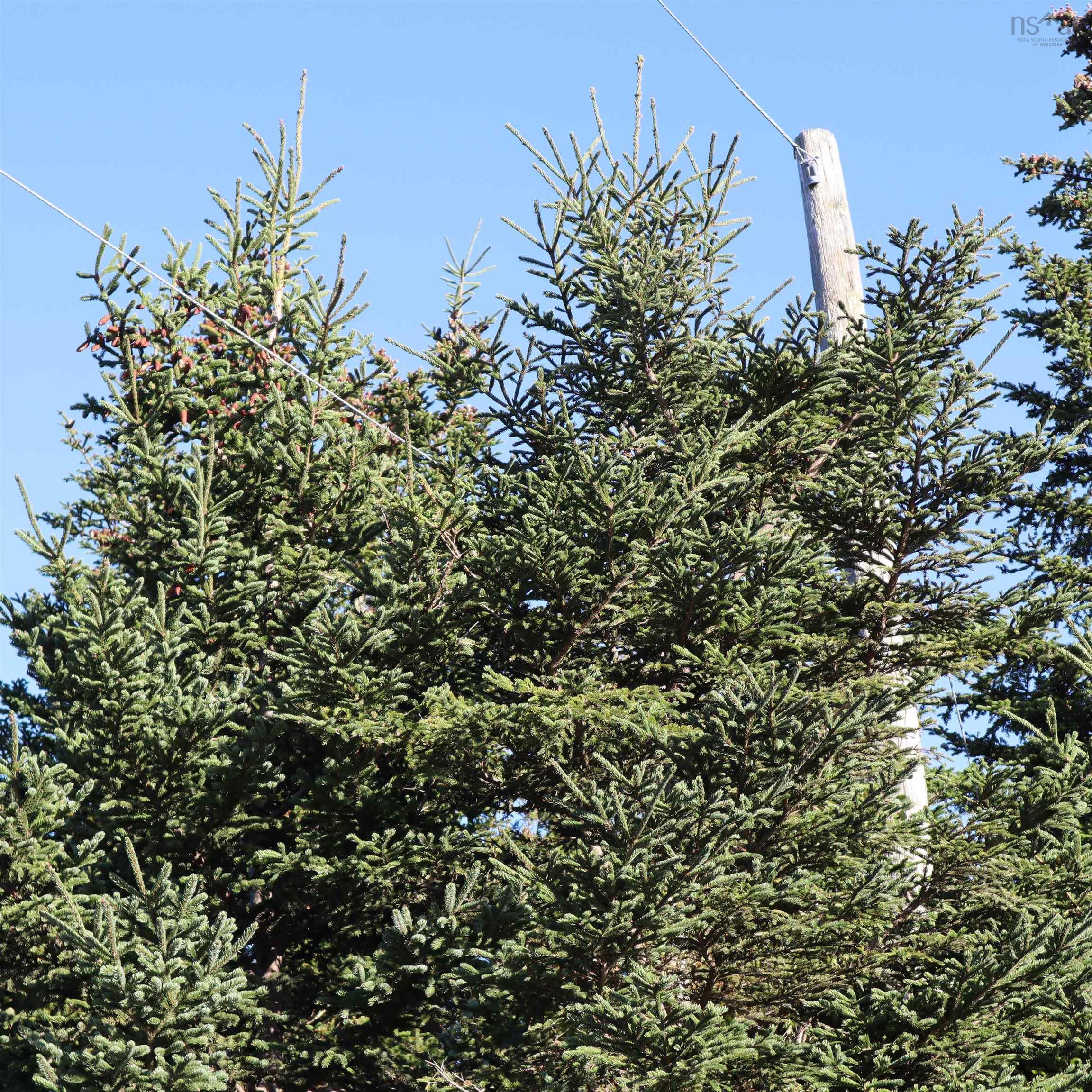 Lot 77 Nebooktook Walk, Clam Harbour, NS (MLS® 202624832)