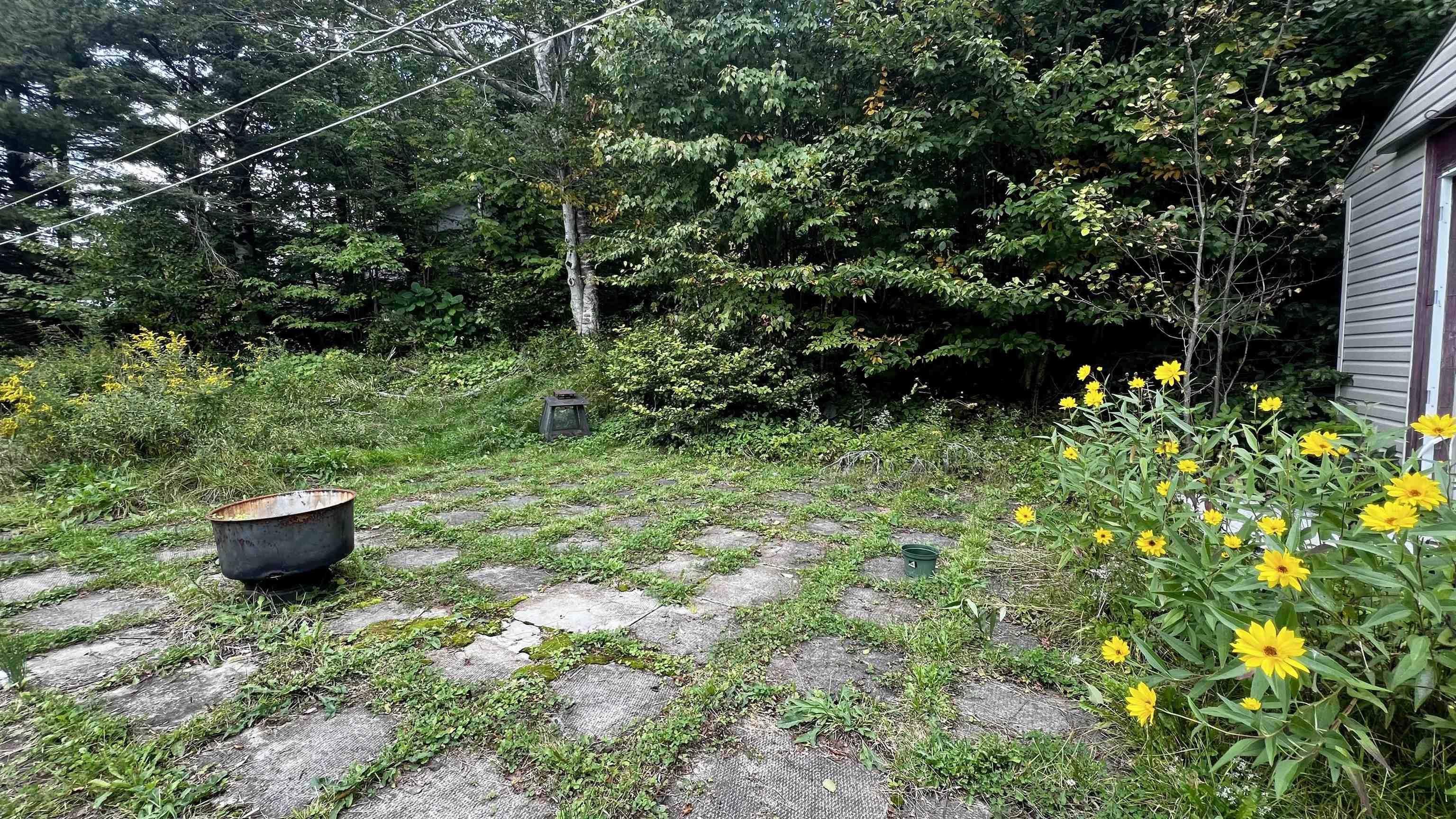 2925 No. 7 Hwy, Lake Echo, NS (MLS 202624888)