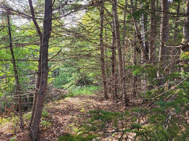 $225,000.00: 223 Seamone Road, Upper Branch