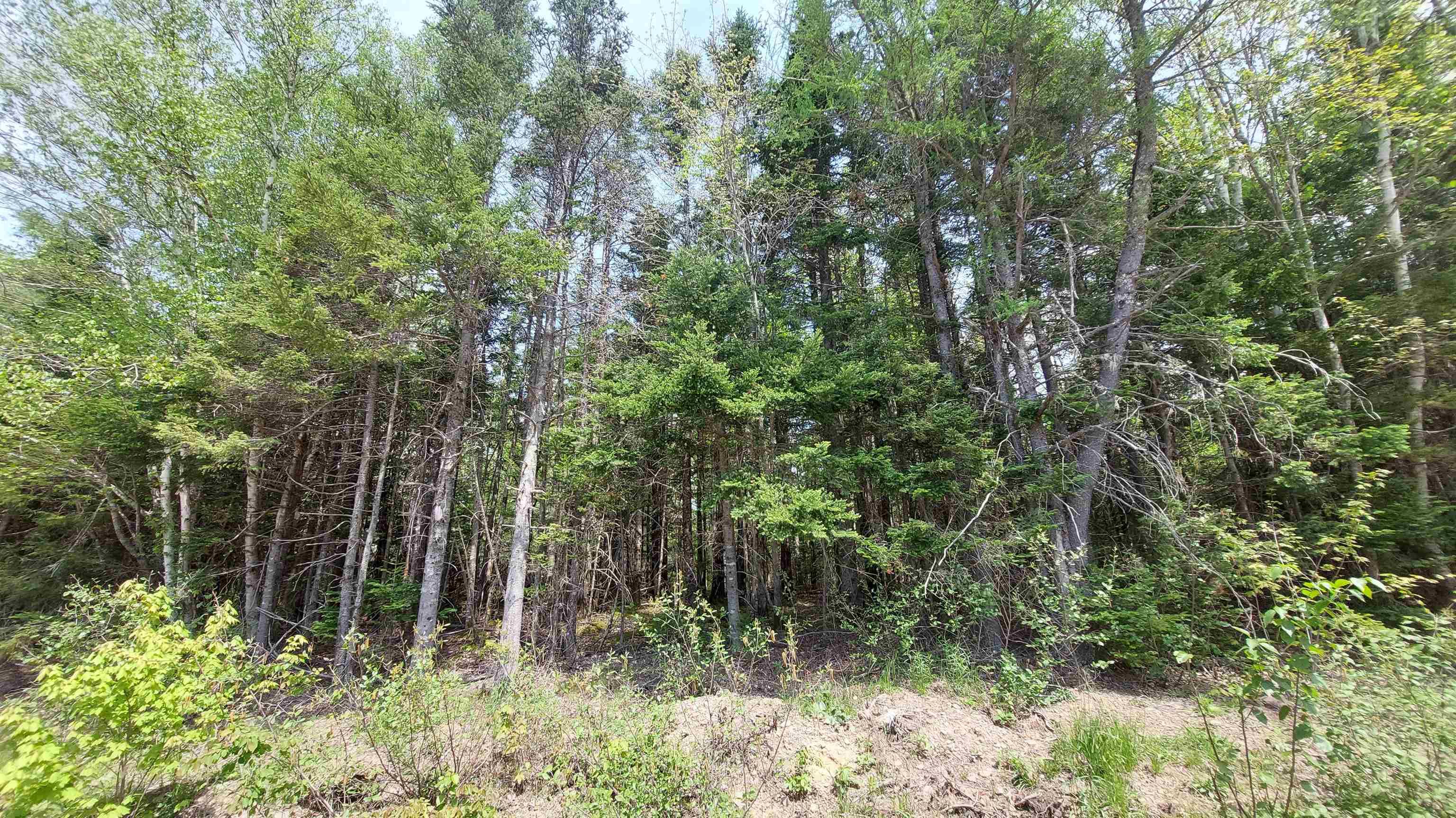 $25,000.00: Lot 14 Walkerville Rd, Walkerville